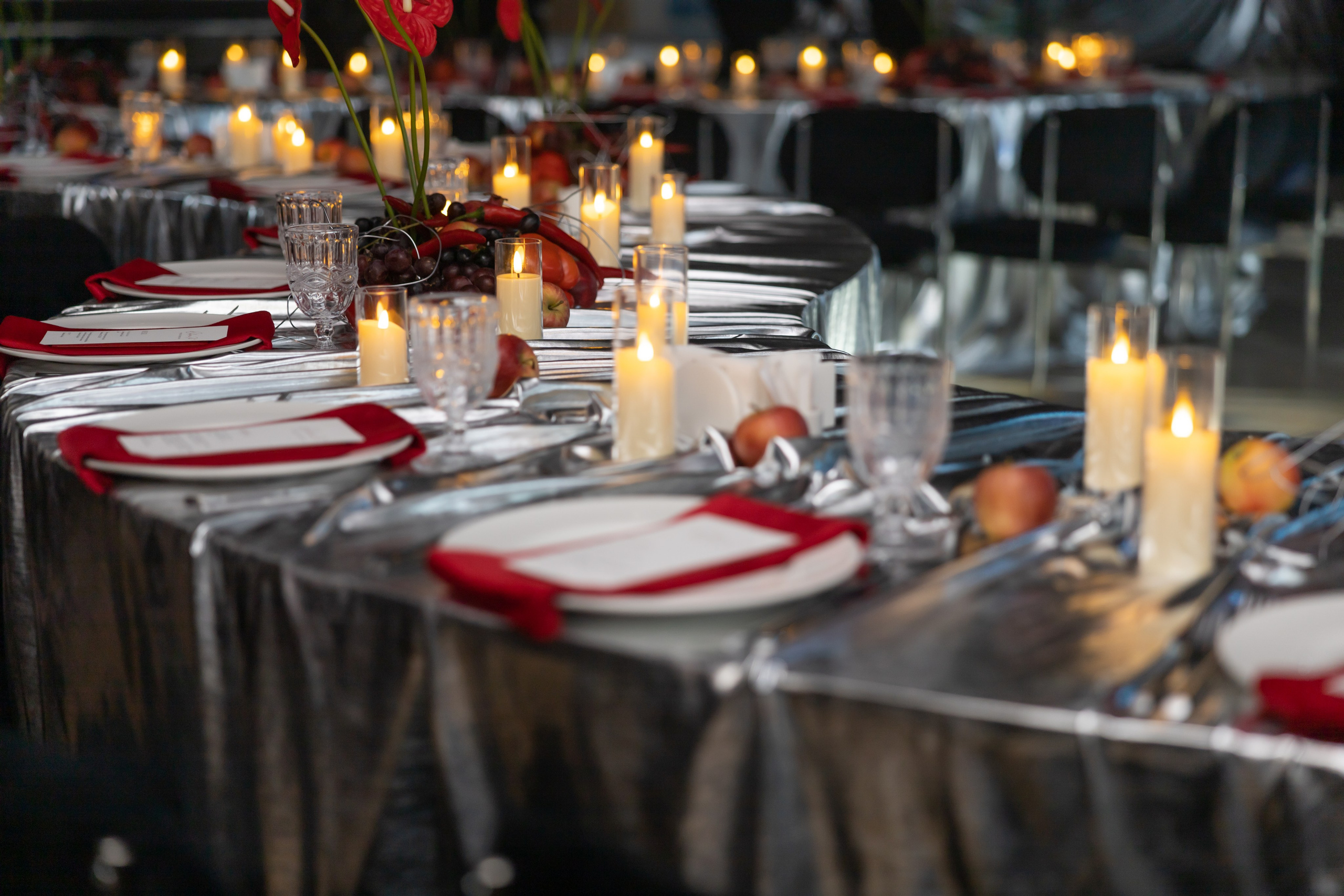 Галла ужин 16.02. Фотограф Элла Ефимова