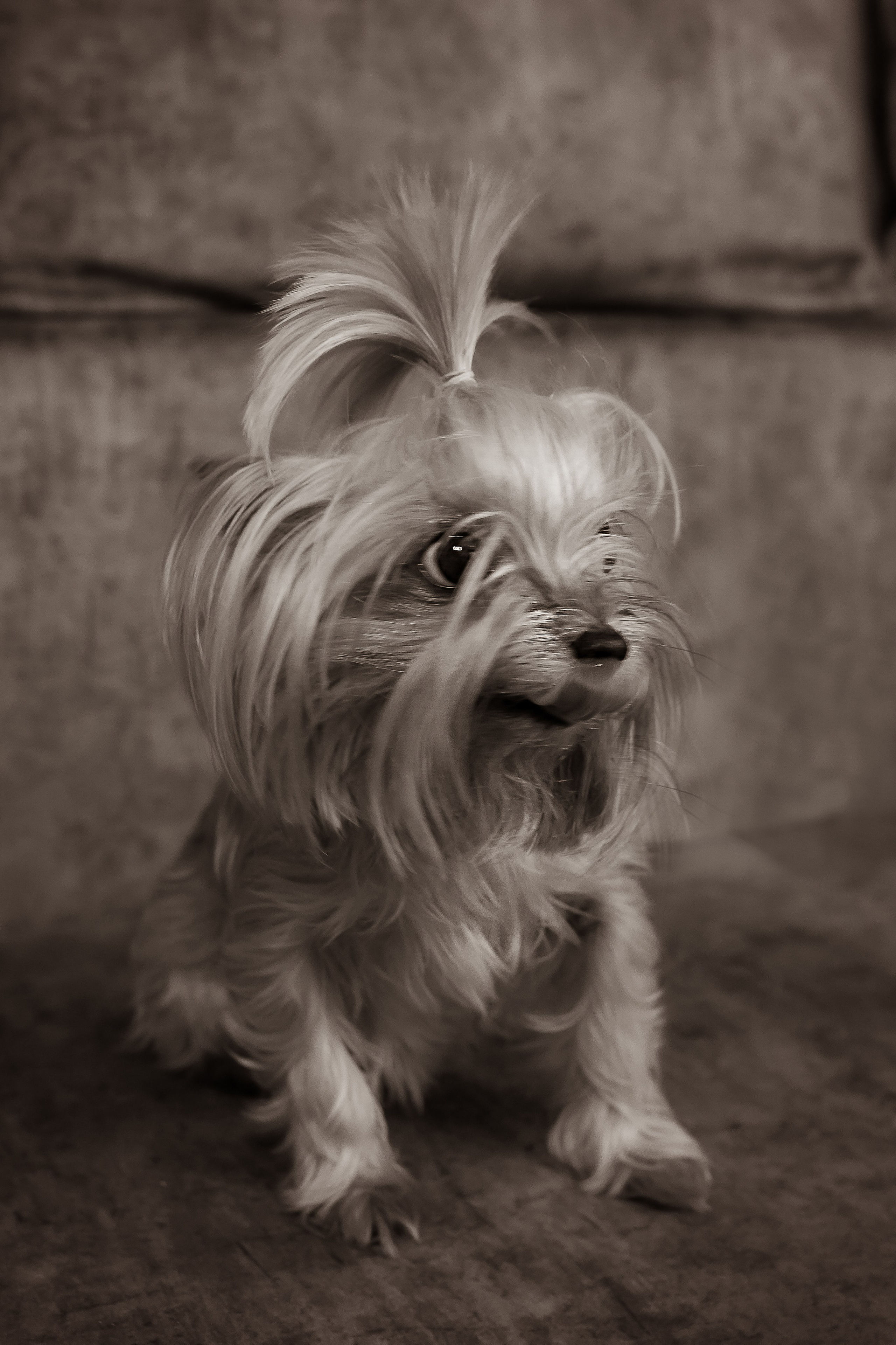 Домашняя съемка. Съемка Таинств Крещения Венчания, детские и семейные съемки в Пензе