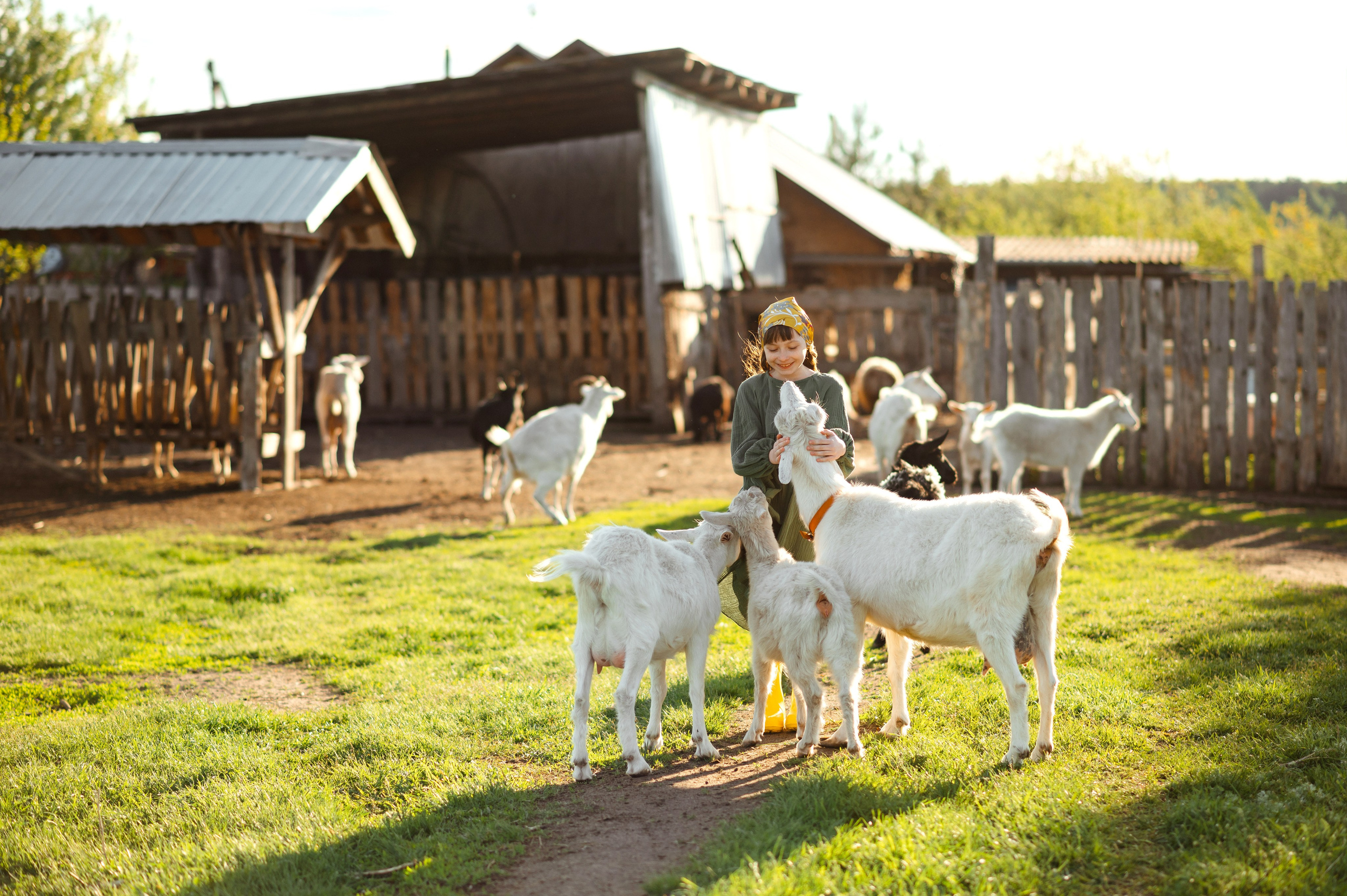 О любви к животным. Свадебный и семейный Фотограф в Пензе Татьяна Лапоногова