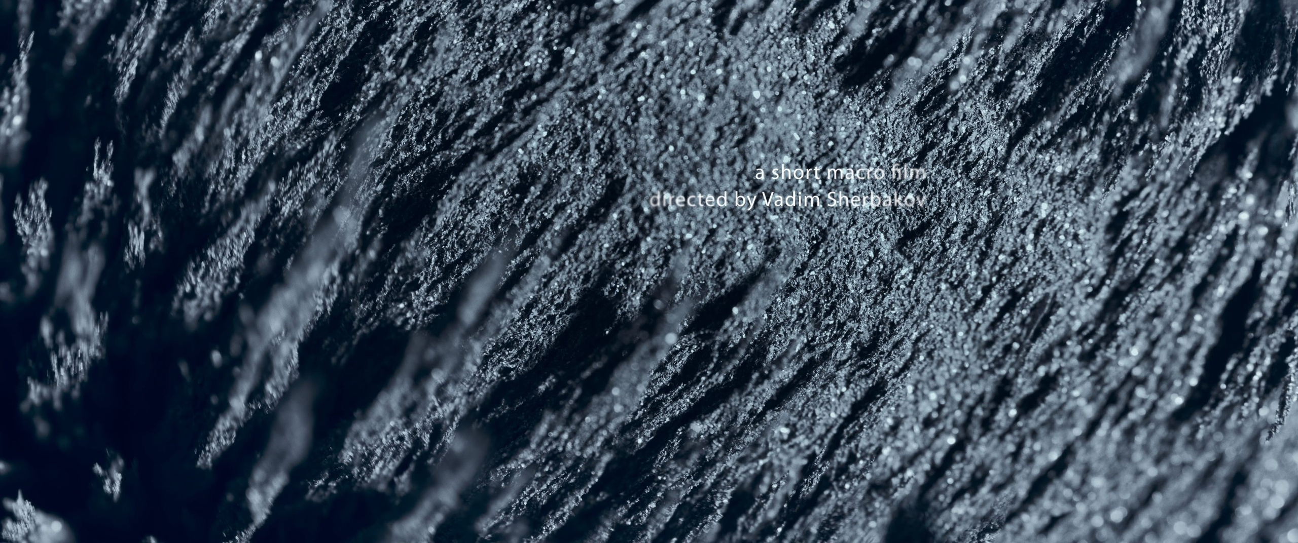 Genesis. Short films by Vadim Sherbakov