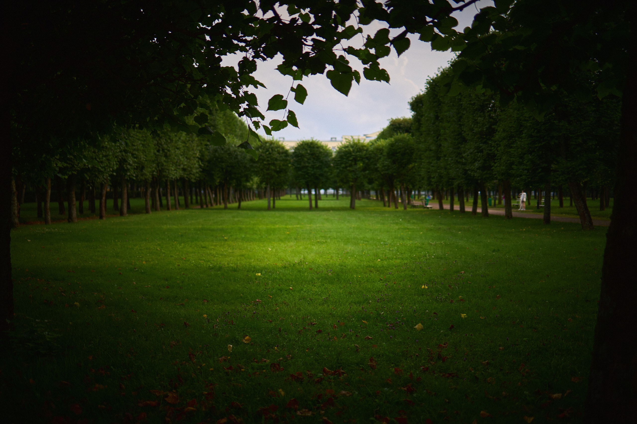 Vibes. Фотограф в Москве, портреты, мероприятия, бренды