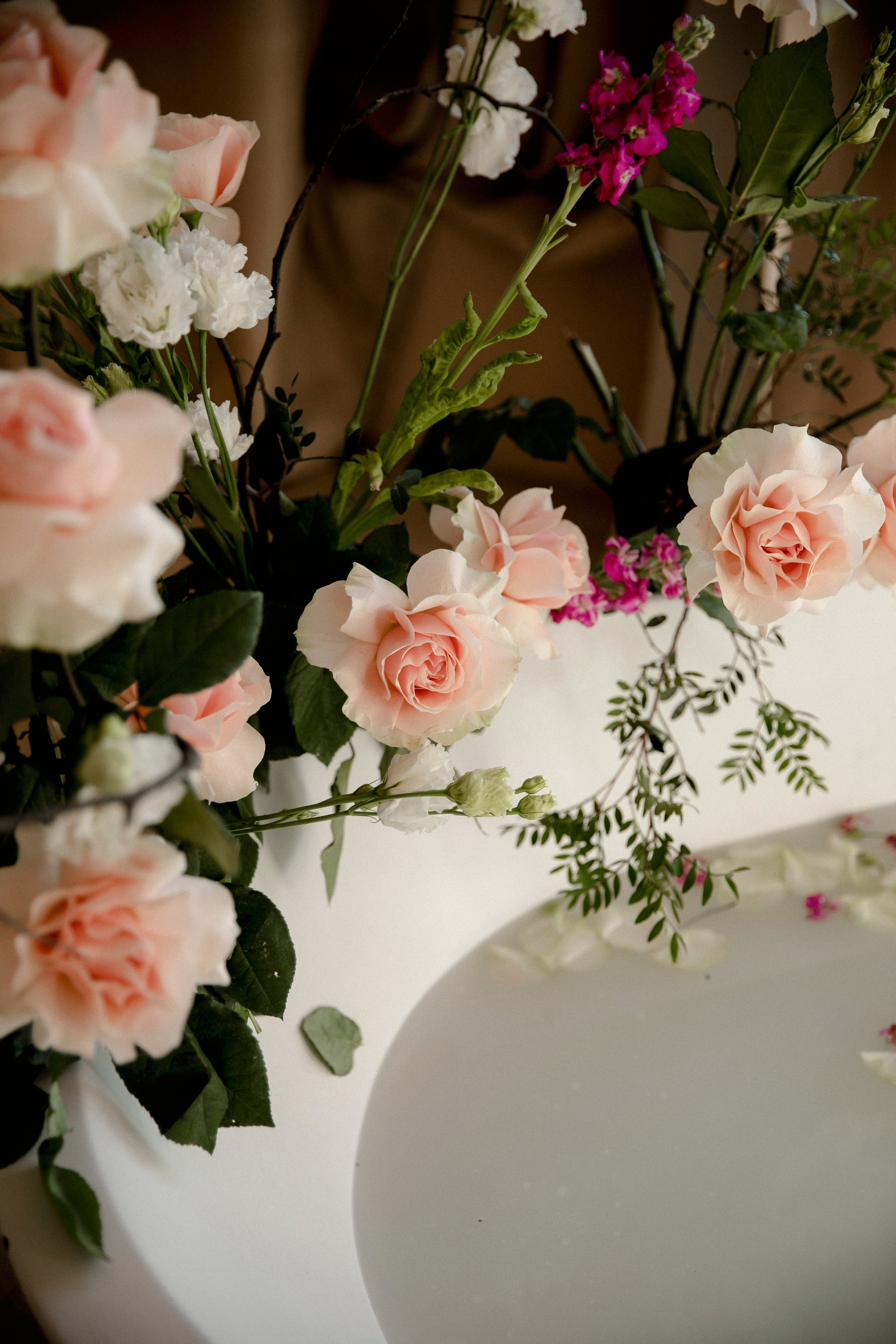 Дарья. Свадебный и портретный фотограф