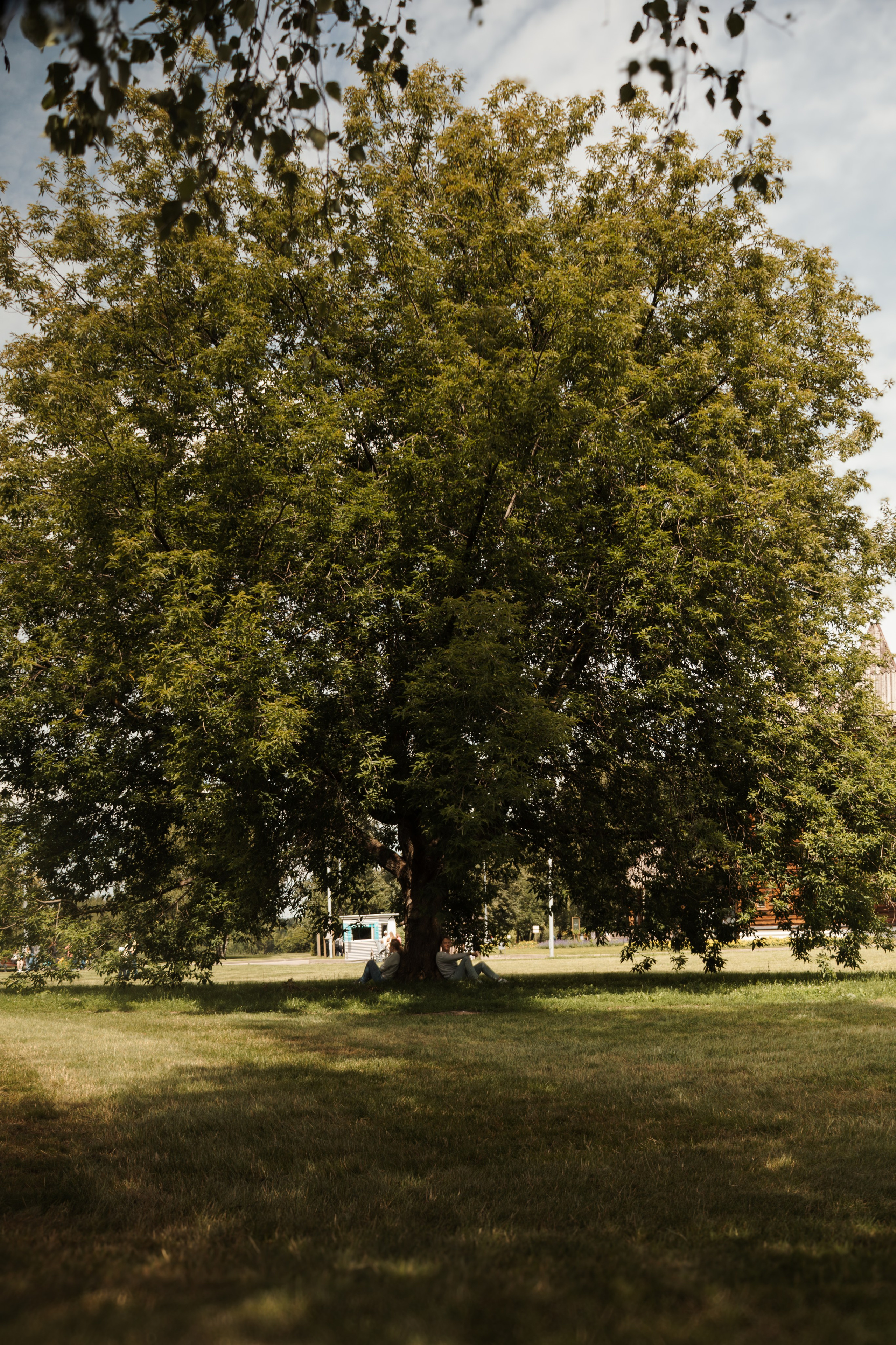 Фотосессия для пары в Коломенском. Фотограф-анималист в Москве Екатерина Тихонова