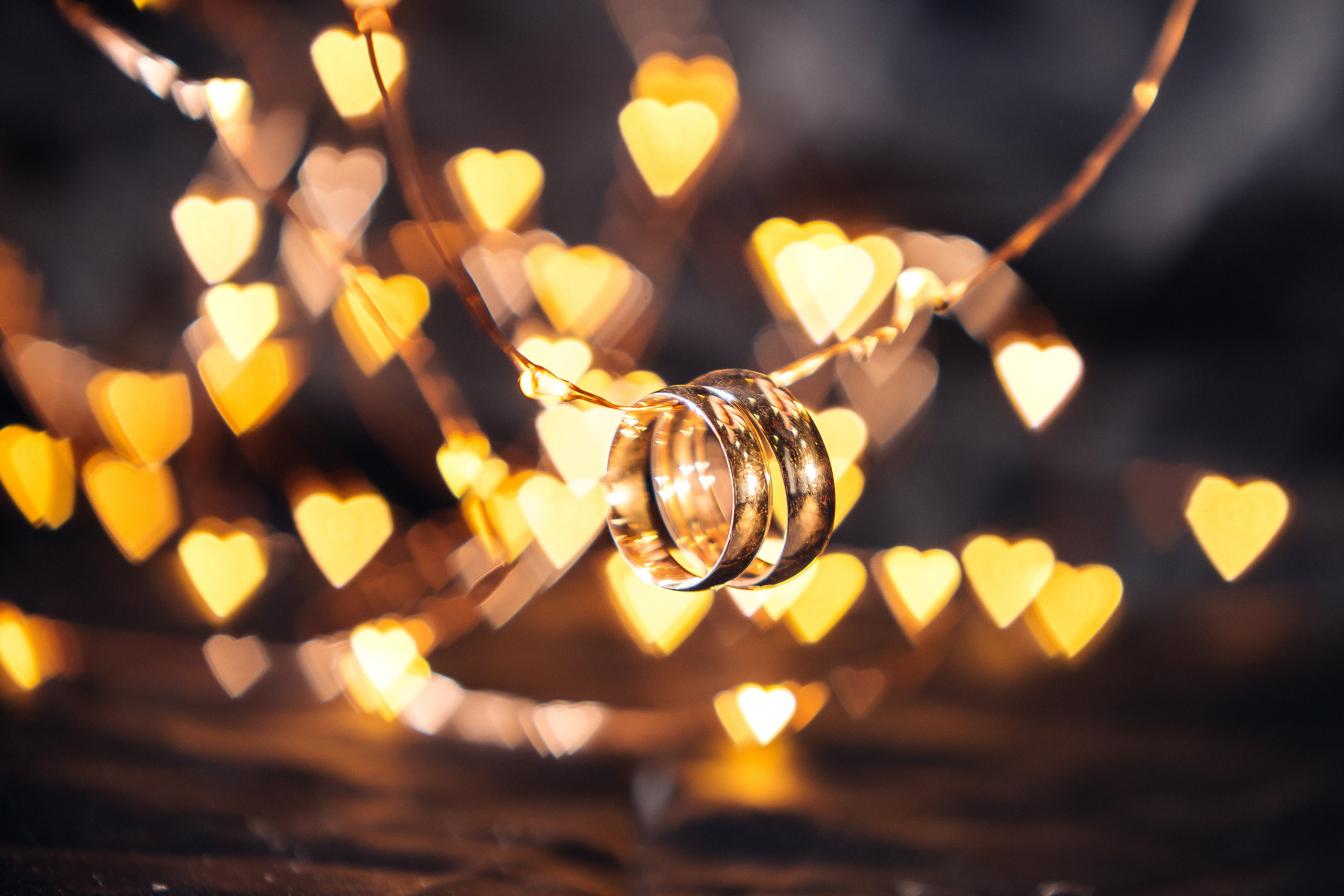 Свадьба Альбины и Сергея. Семейный и детский фотограф в Москве Тихонова Ксения