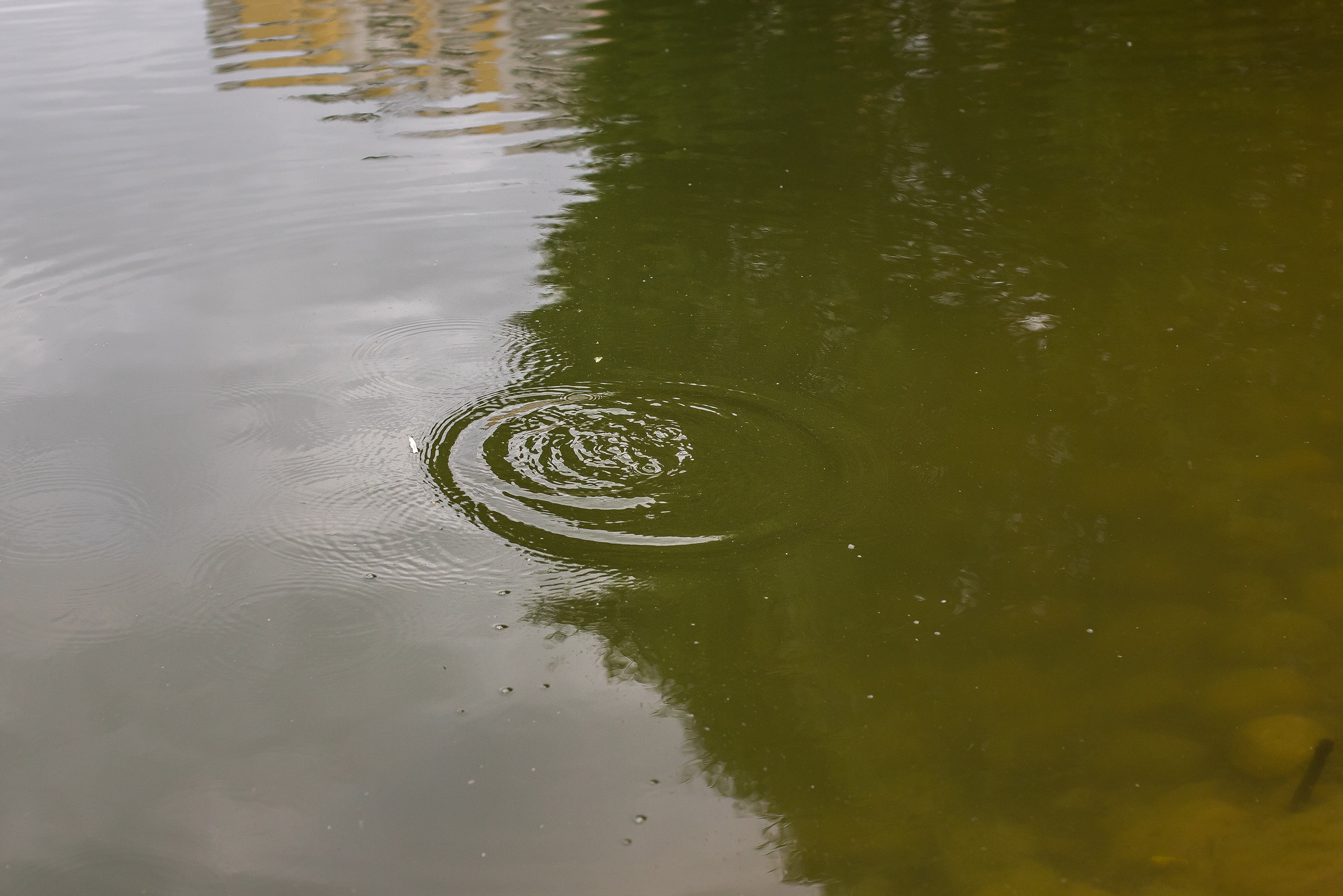 Семейные съёмки. Семейный и детский фотограф в Москве Тихонова Ксения