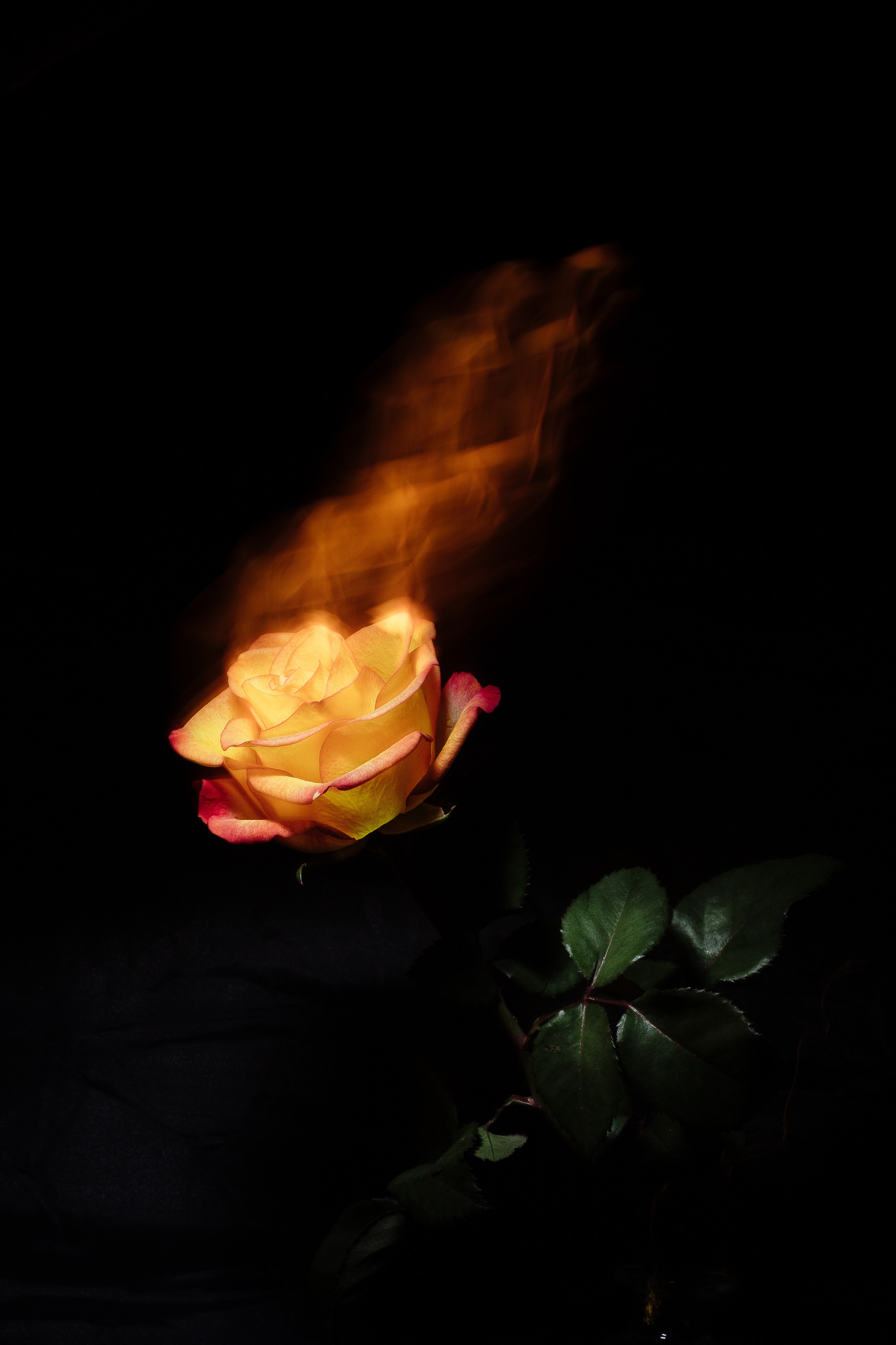 Предметная фотосъёмка Москва. Семейный и детский фотограф в Москве Тихонова Ксения