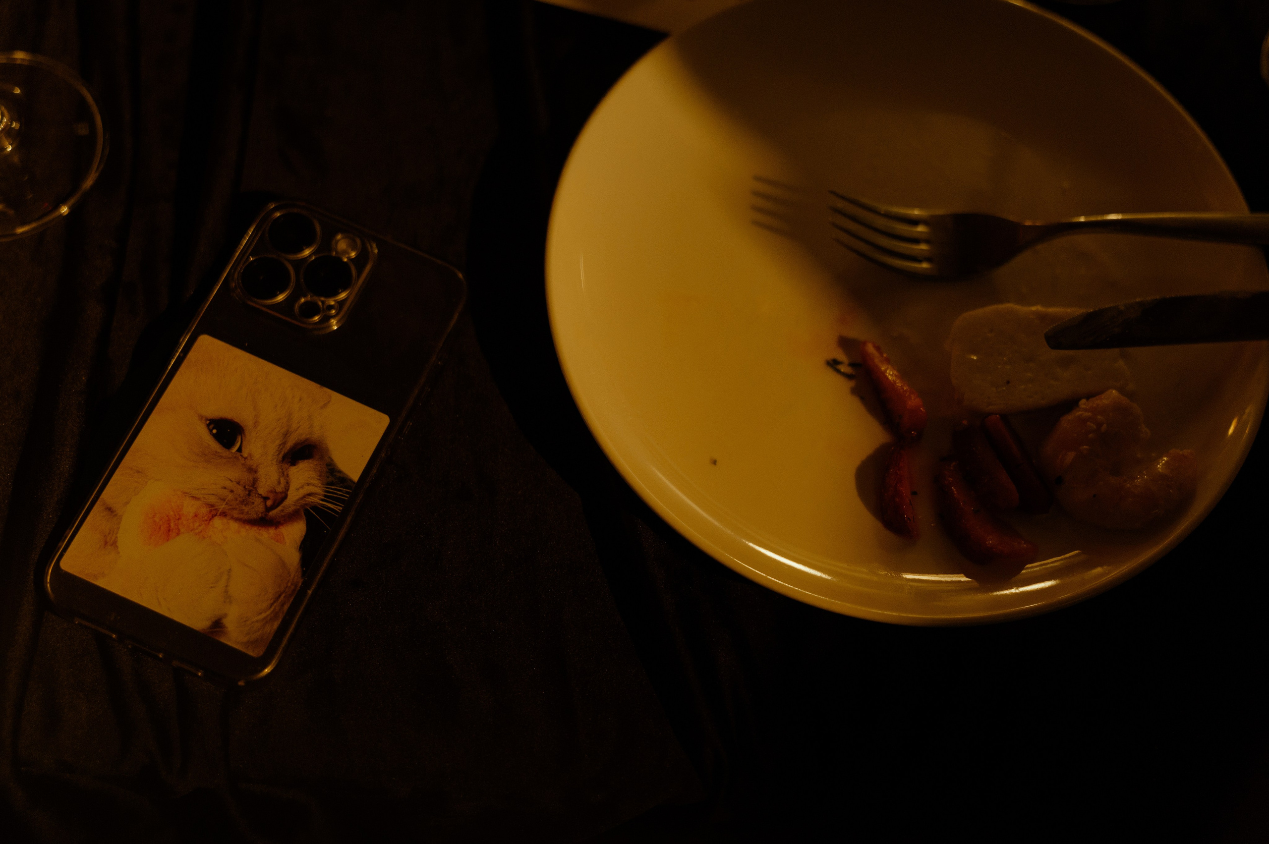 Никита и Ника. Свадебный фотограф и видеограф