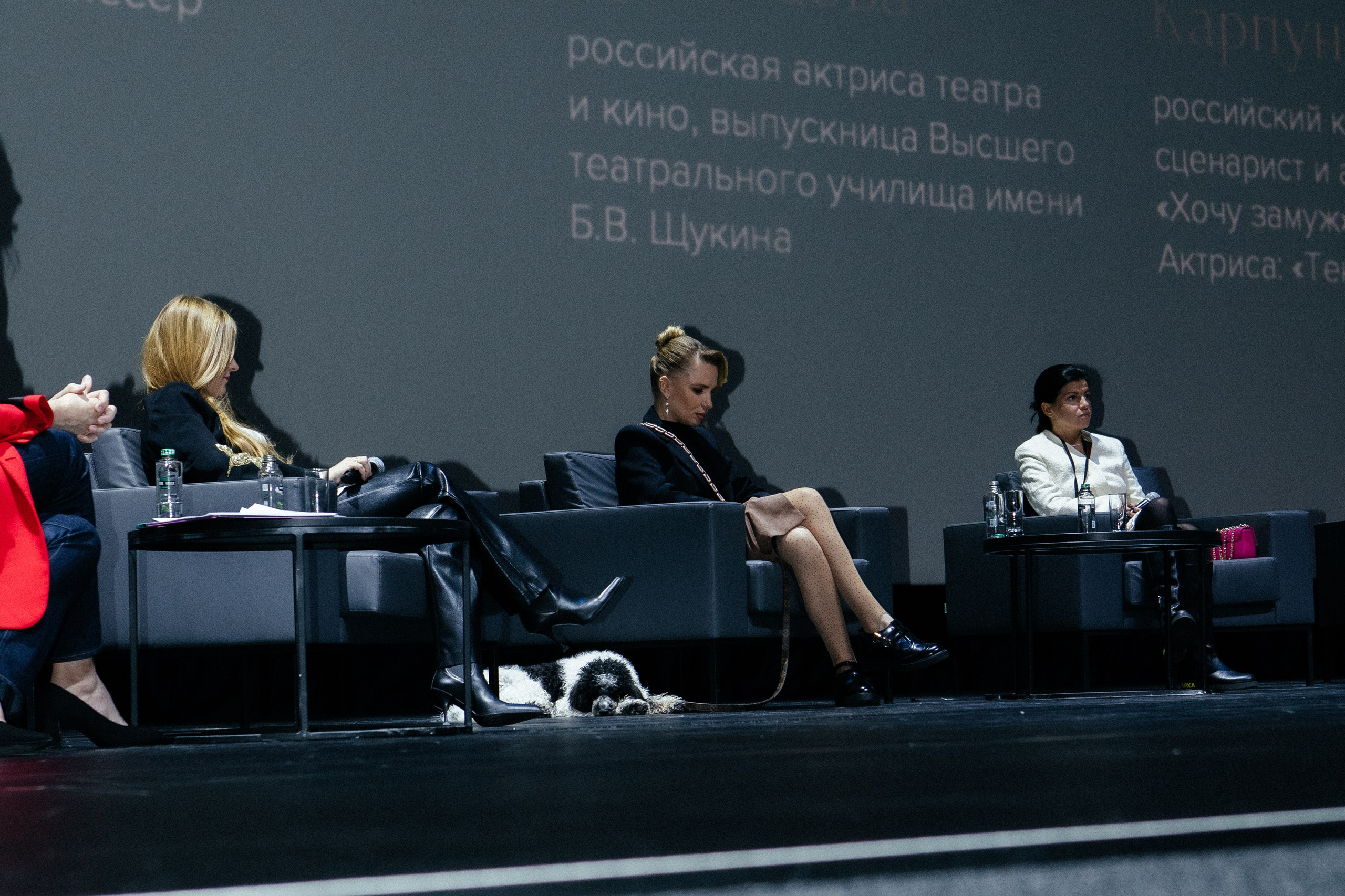 Конфереции. Фотограф в Москве Серегина Екатерина