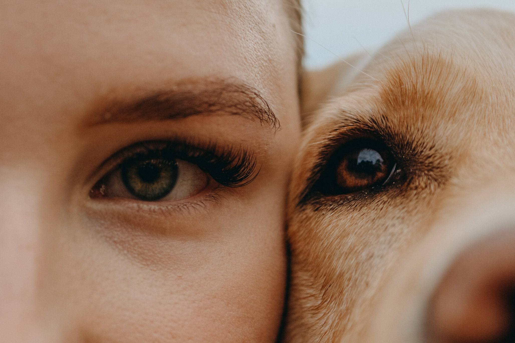 Наташа и Шани. Фотограф — Анималист | Санкт-Петербург