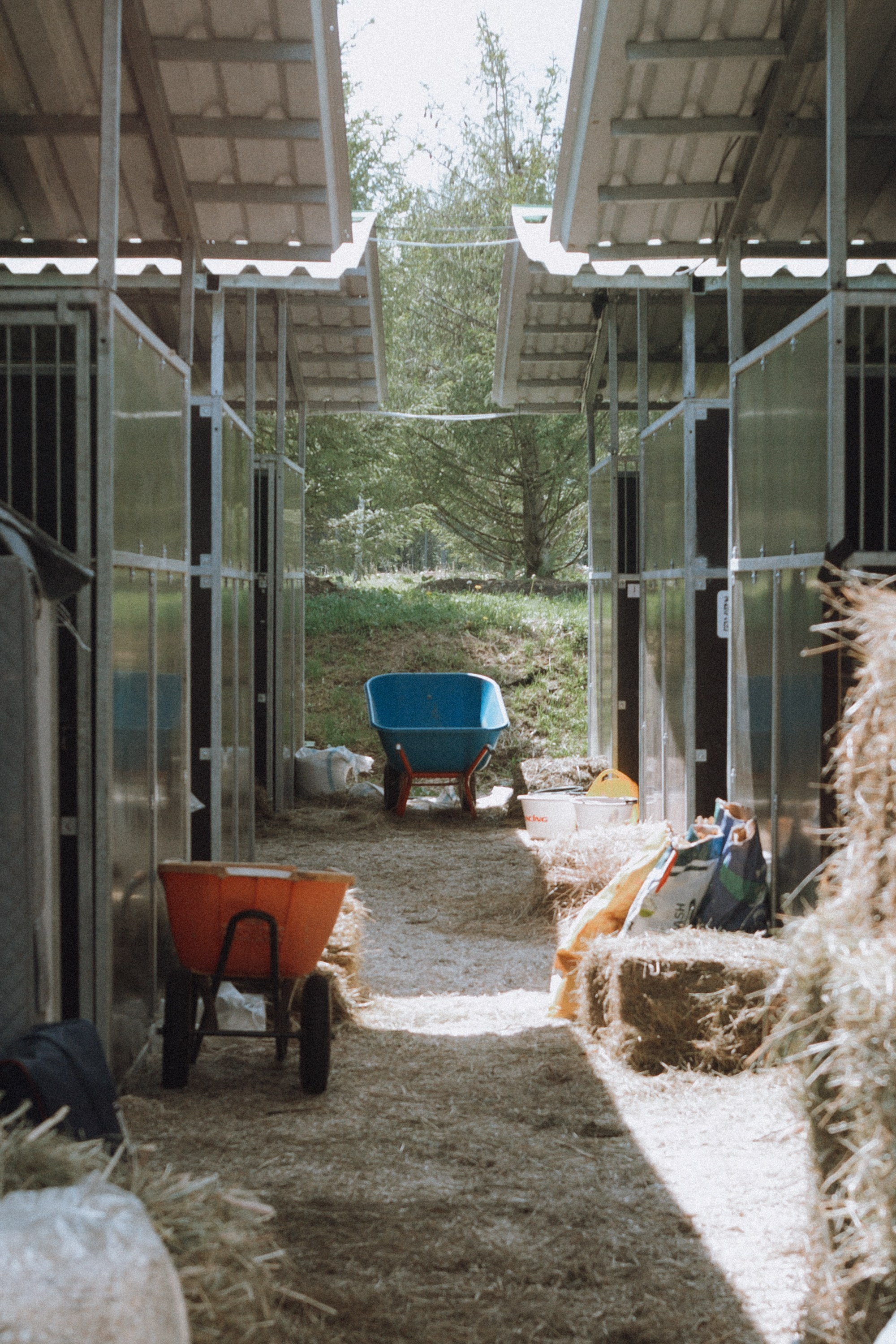 Emerald Stables CUP 2025. Бэкстейдж и репортажный фотограф в Москве Артем Онацко