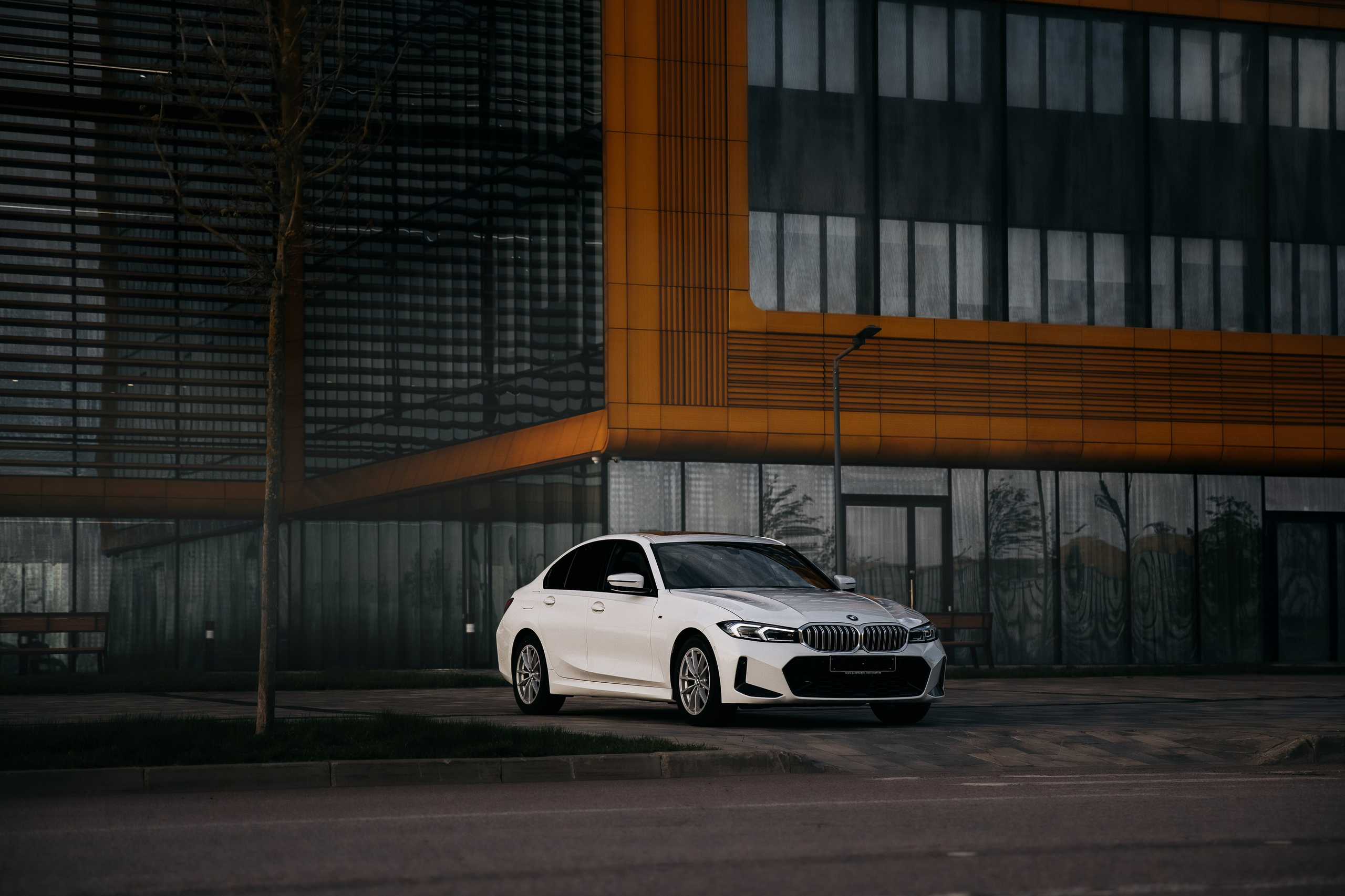 Фотограф|Александрова Алина|Санкт-Петербург