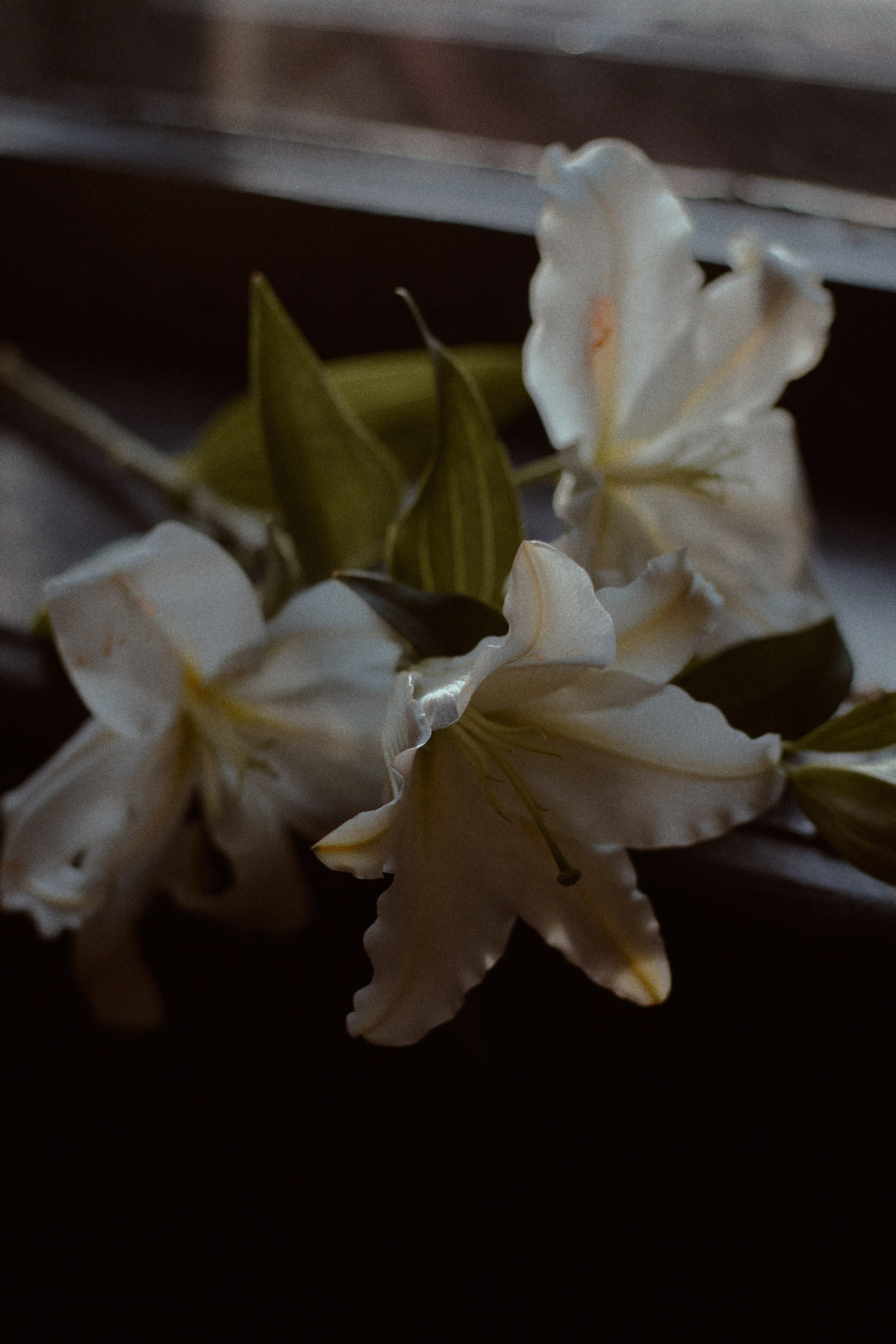 Сила. Фотограф лавстори Москва/МО Приятелева Ангелина