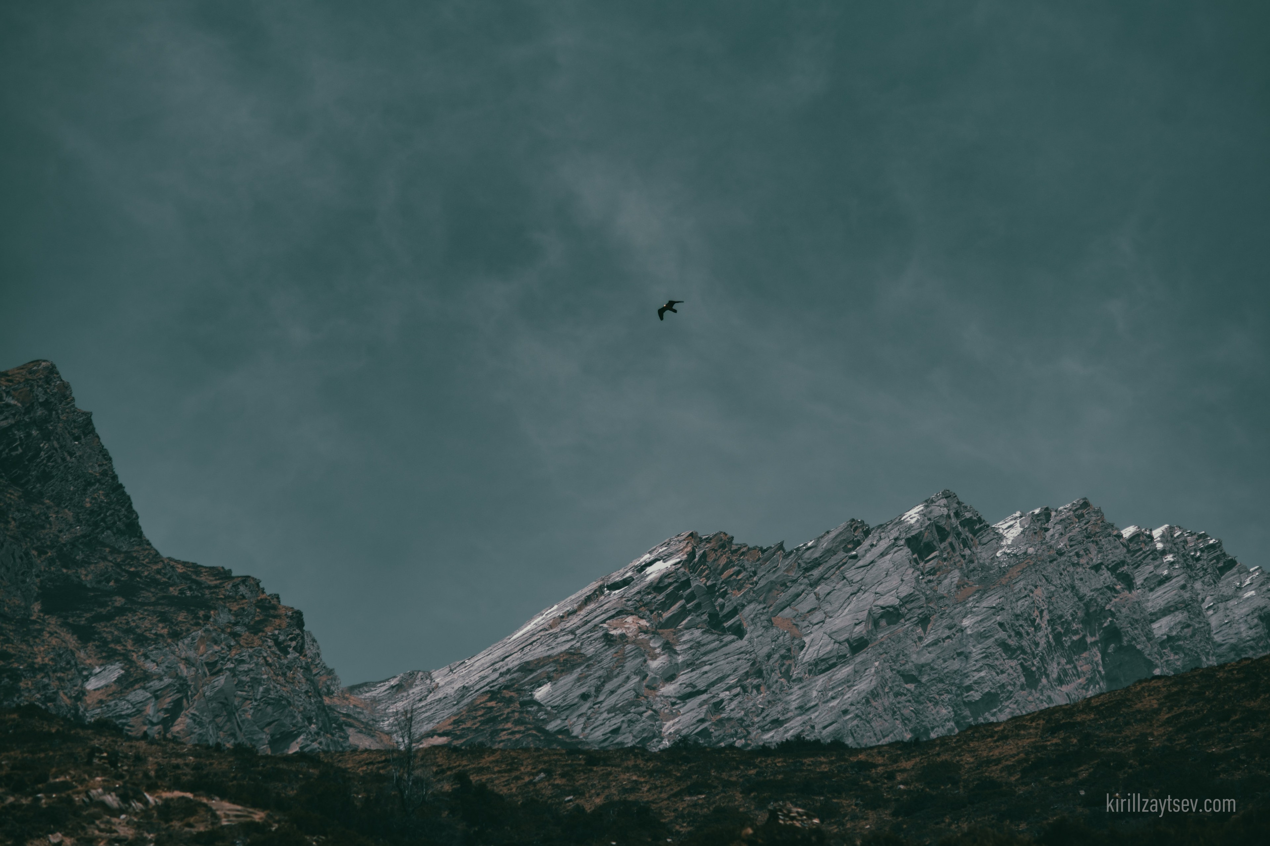 Жизнь. Профессиональный фотограф Кирилл Зайцев