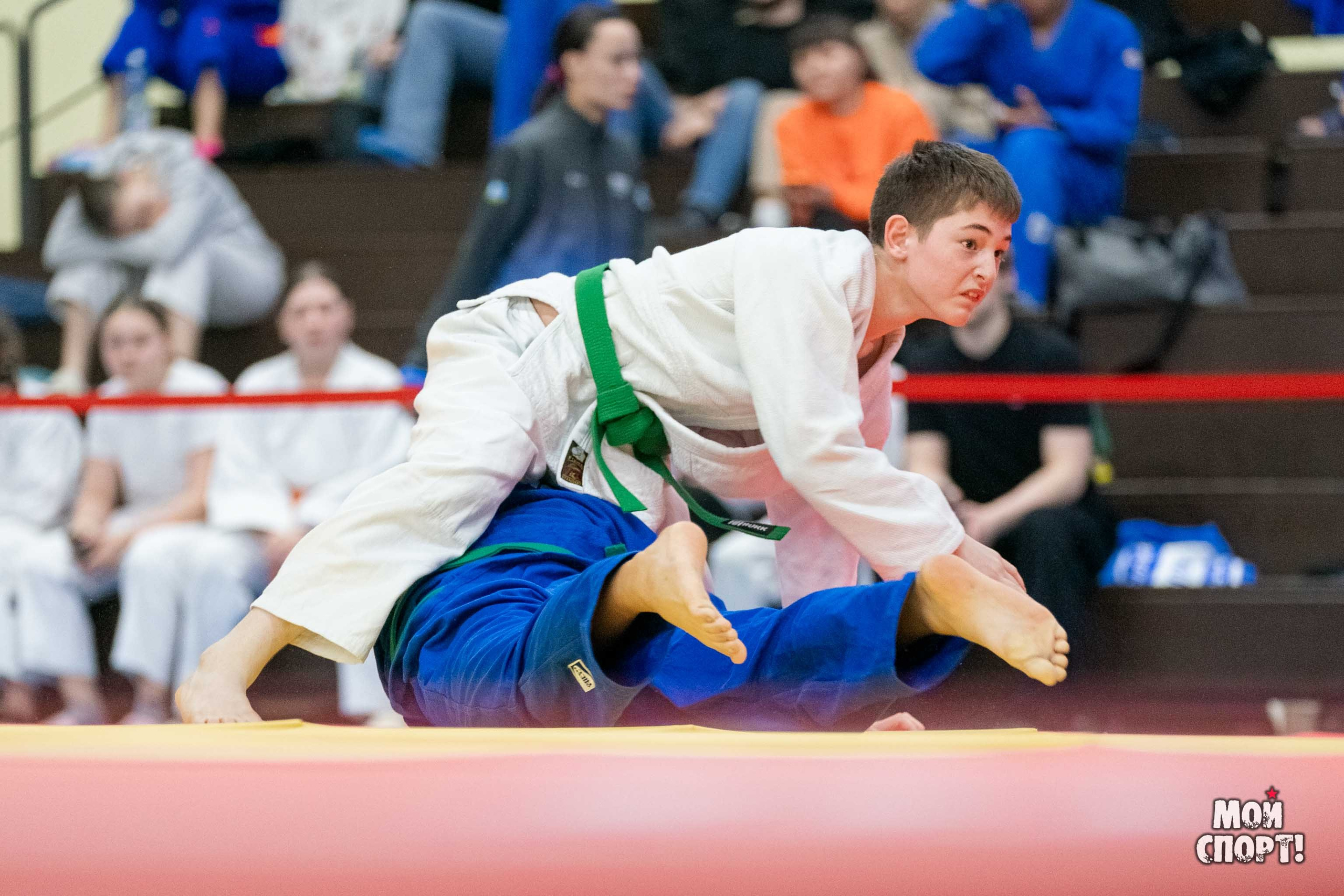 Межрегиональные соревнования по дзюдо «Лига патриотов — Якутск». Студия «Мой Спорт!» — все о спорте в Якутии