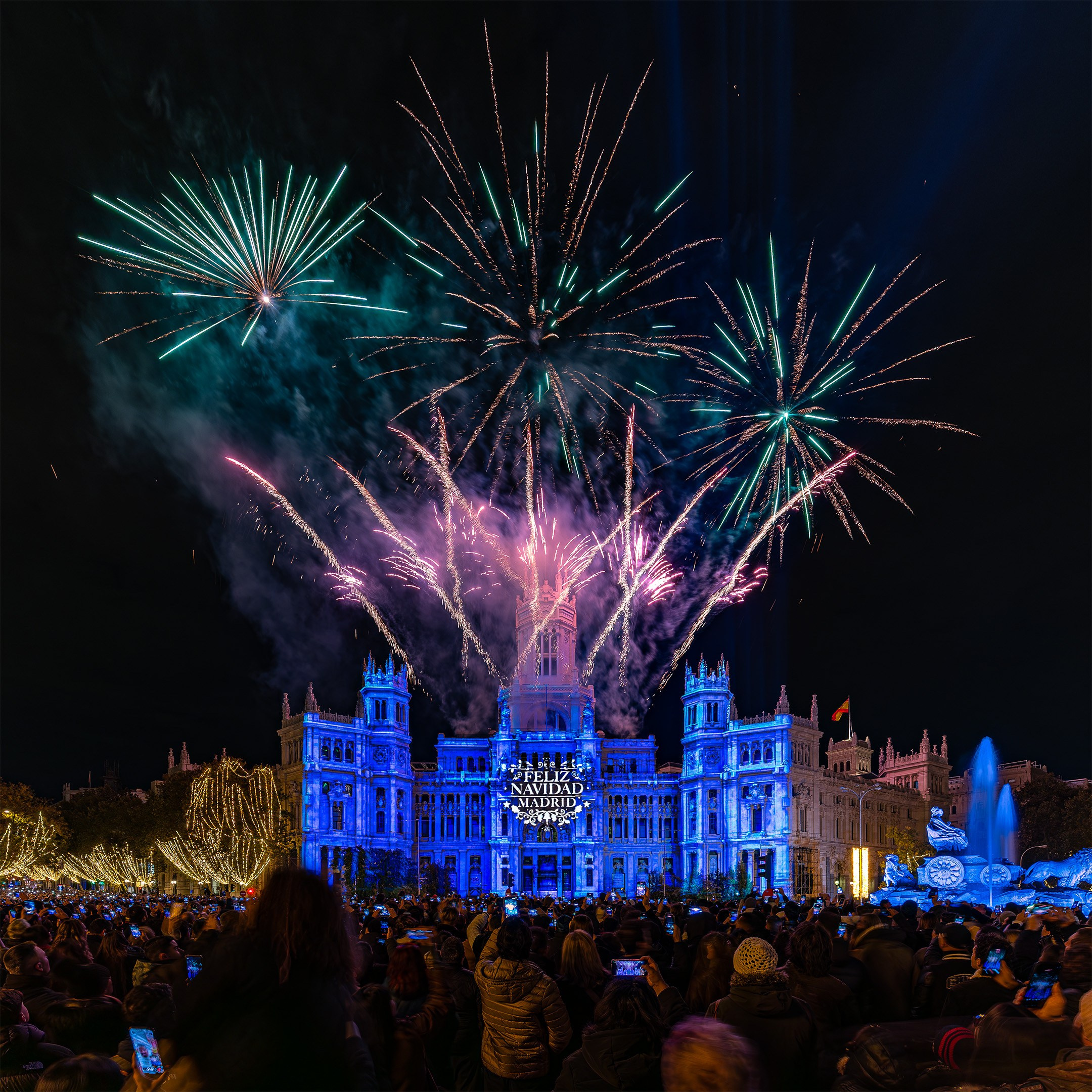 Fireworks. Tony Nomadic