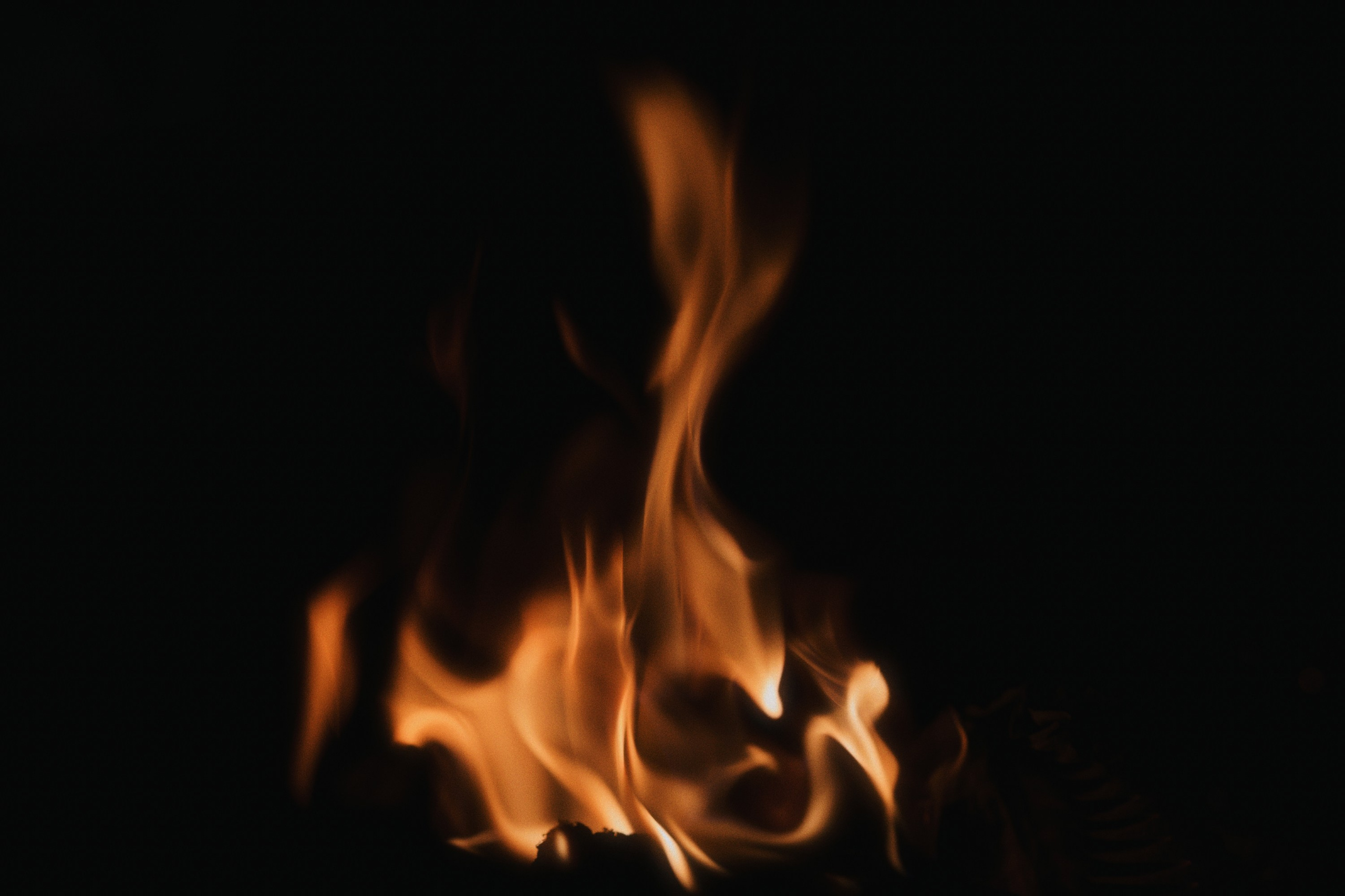 Fasenda. Фотограф Юрин Евгений