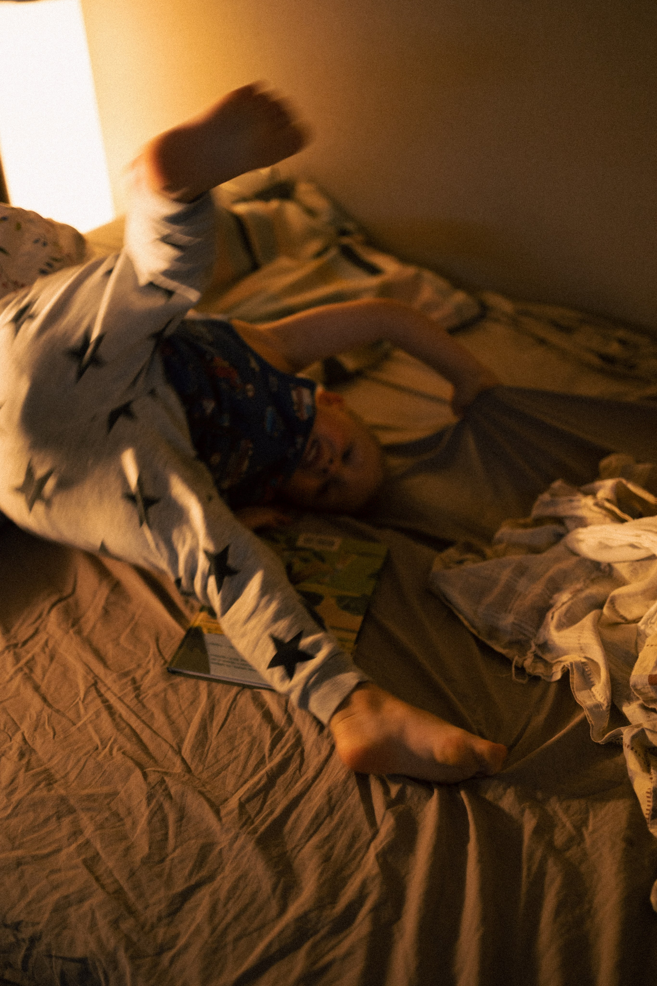 Мальчишки. Фотограф анималист в Москве Майорова Евгения