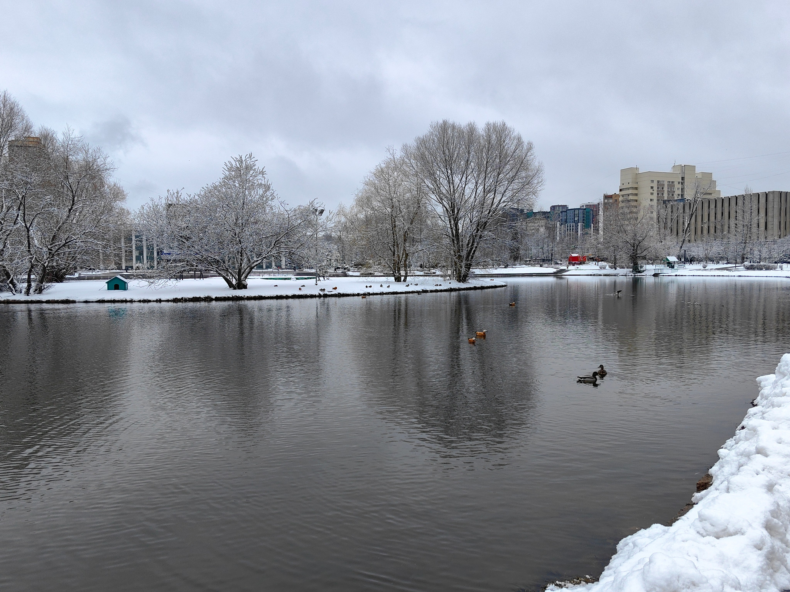 Спортивный фоторепортаж