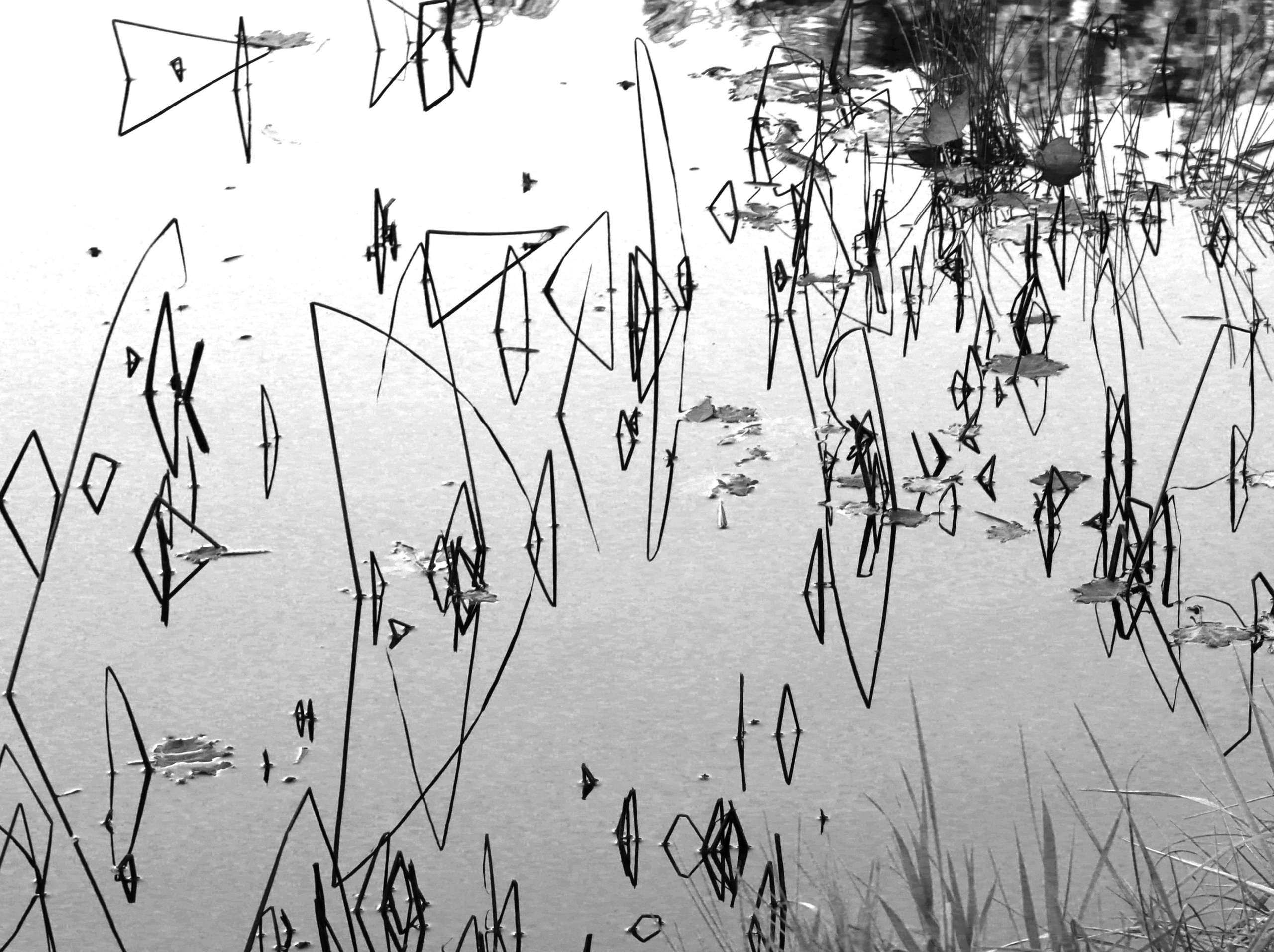 У воды. Главная