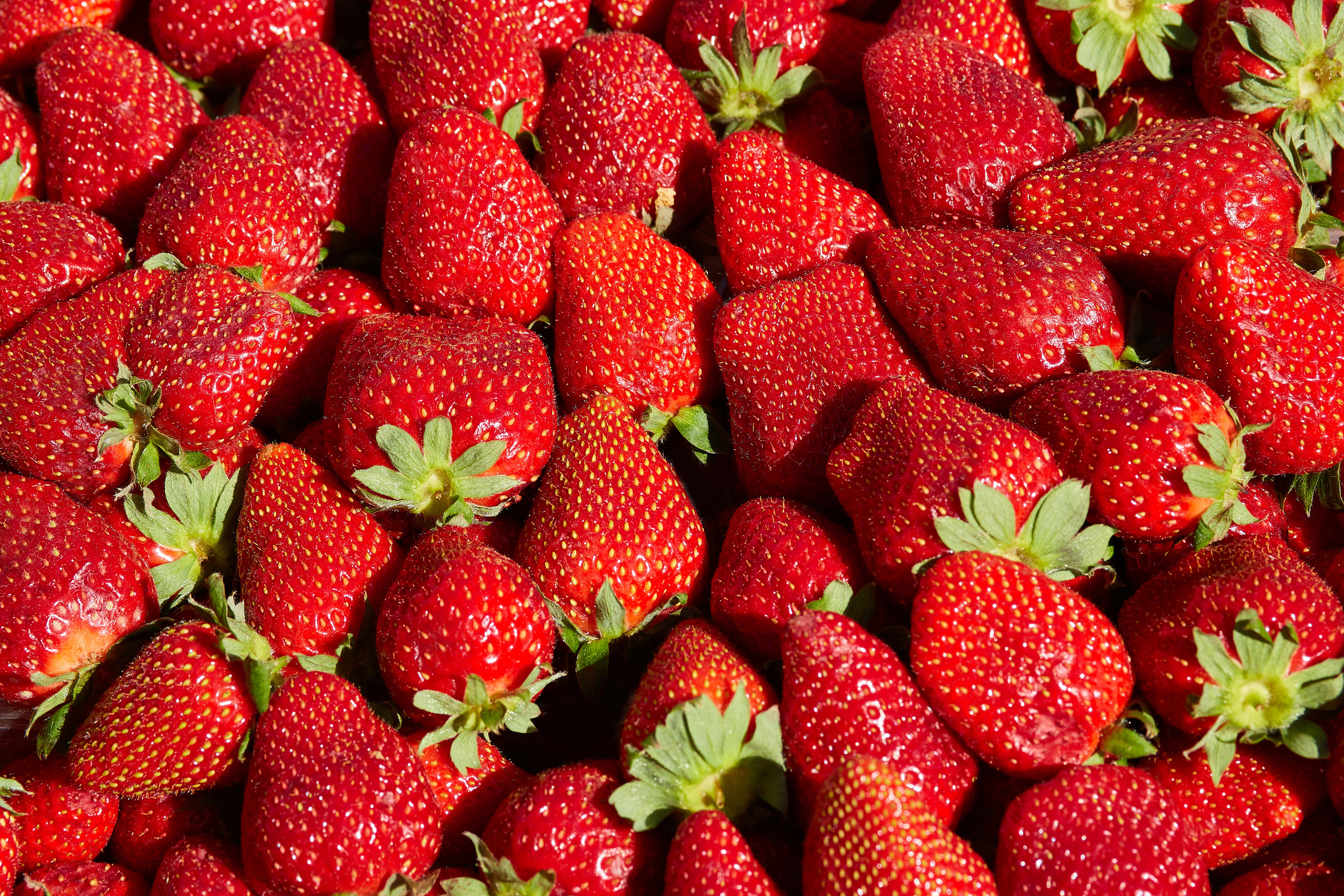 Фотографии для маркет плейса. Telesh media production