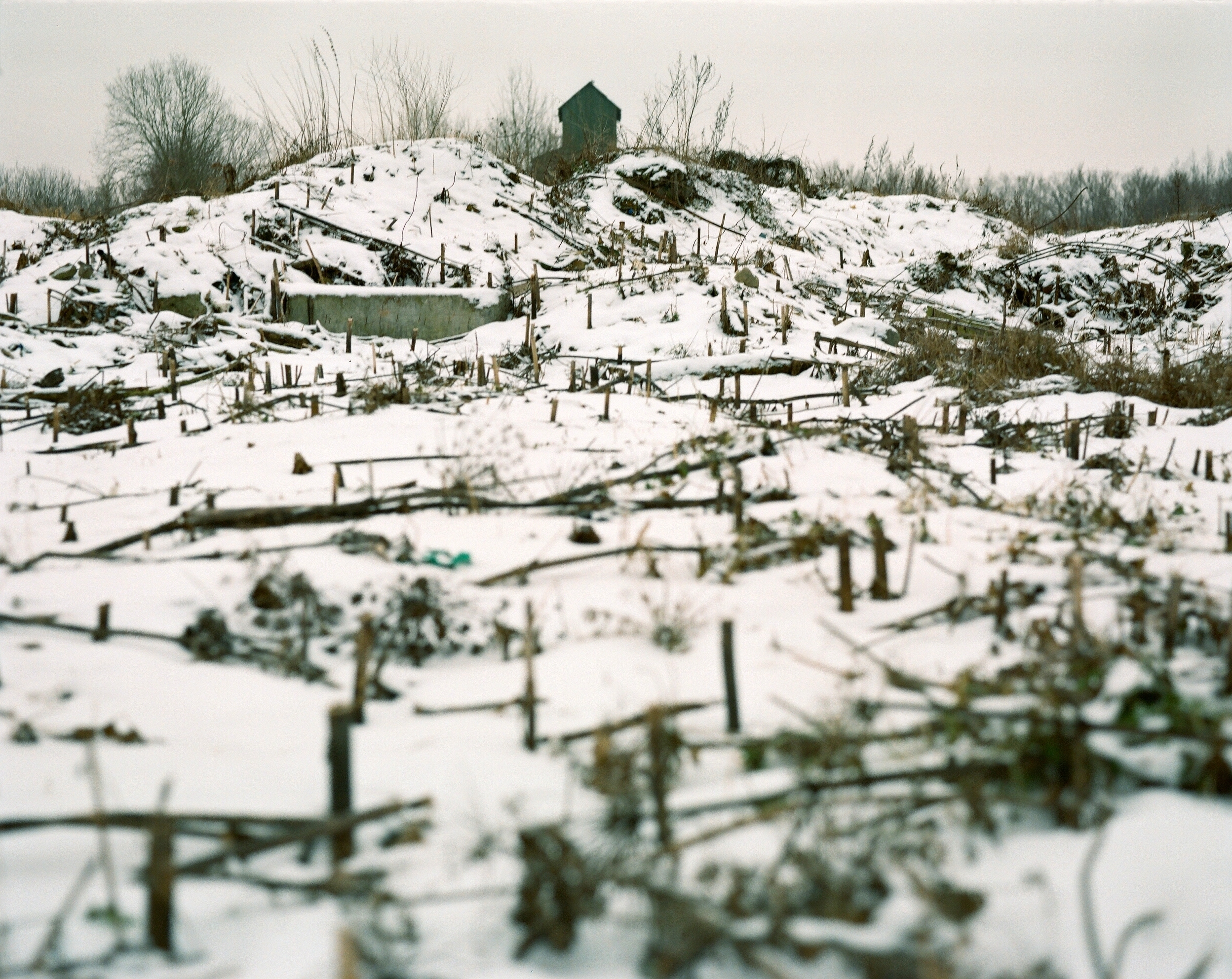 Дневник каньона. Екатерина Васильева художник, куратор и преподаватель