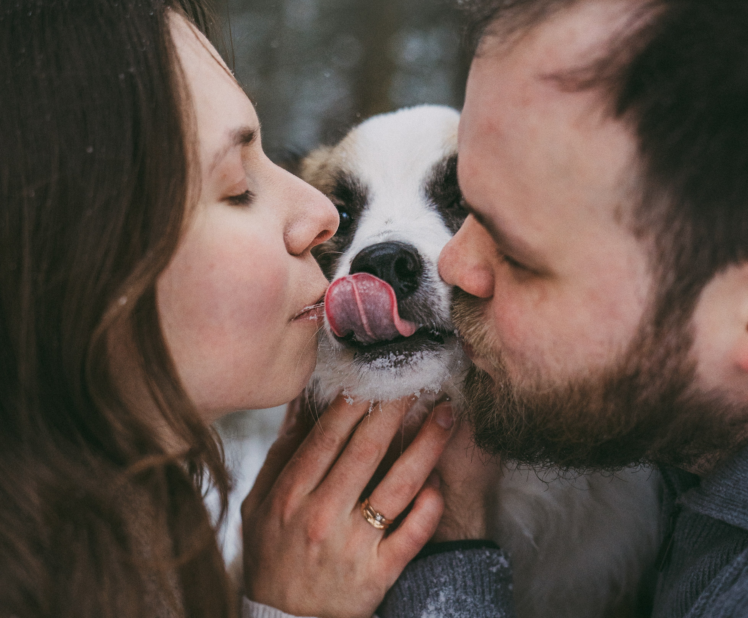 Катя, Анатолий и Елай. Фотограф анималист в Москве и Санкт-Петербурге Свиридова Анна