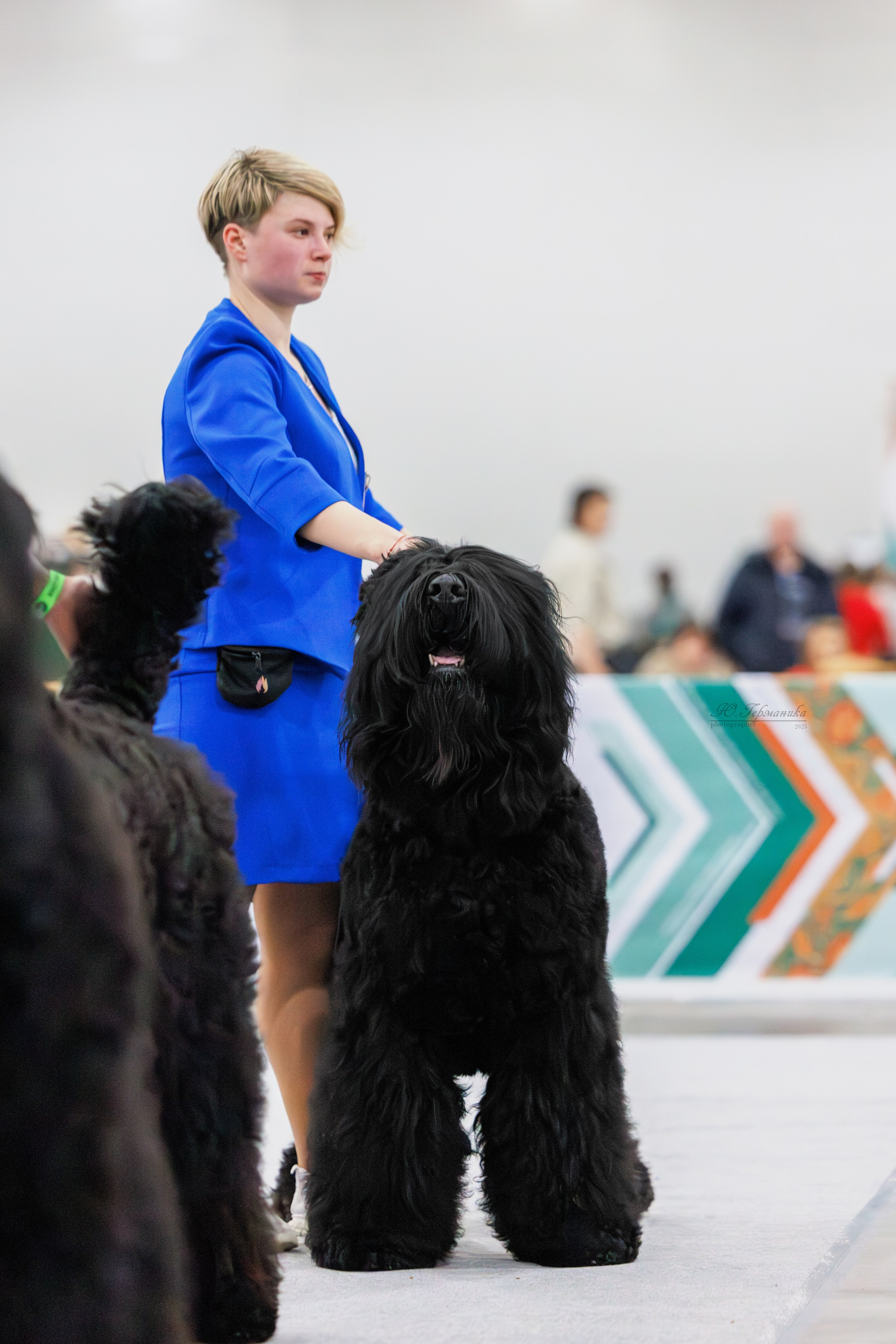 Евразия 15-16.11.2025. Фотограф-анималист Юлия Германика