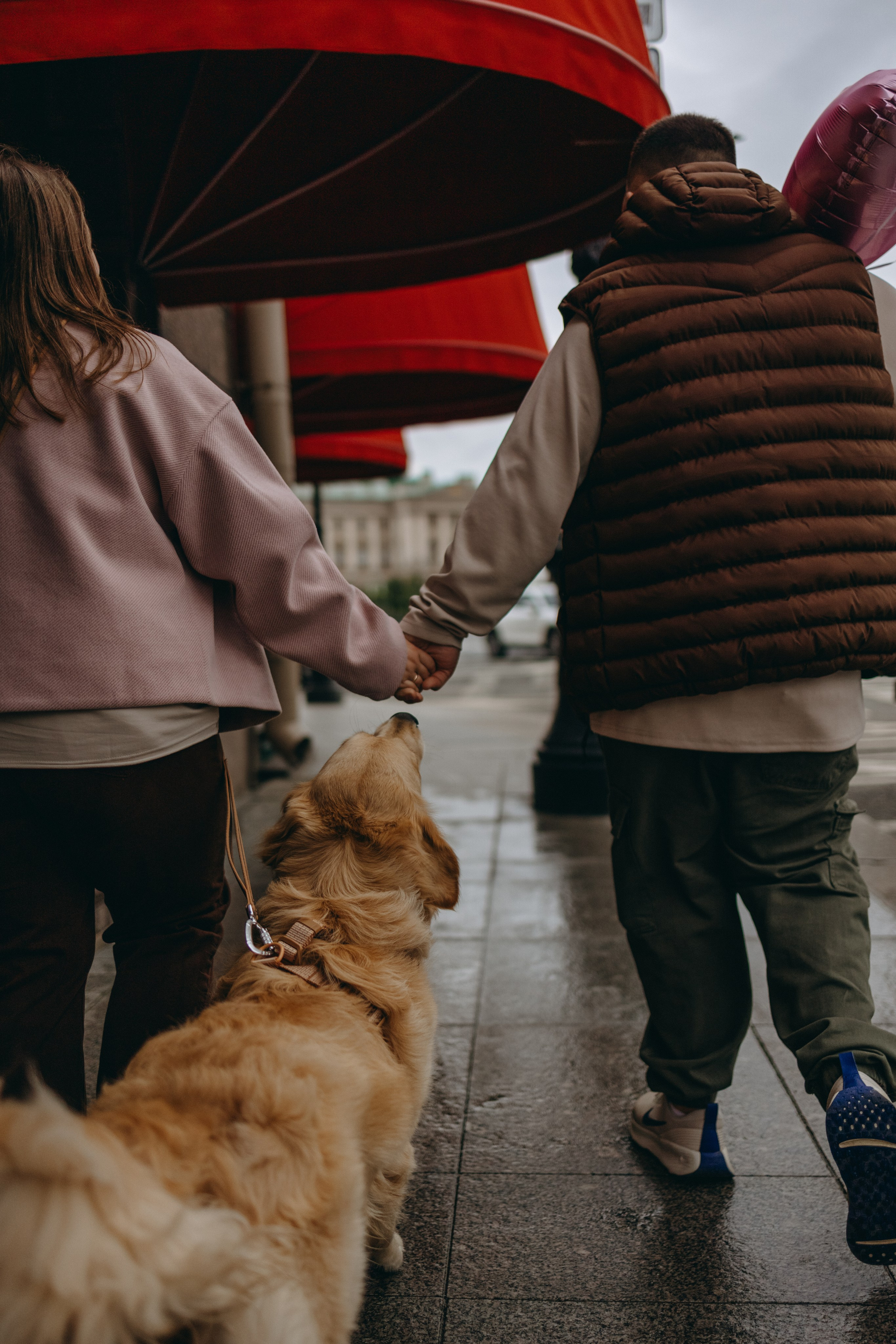 Бетти и ее семья. Фотограф — Анималист | Санкт-Петербург