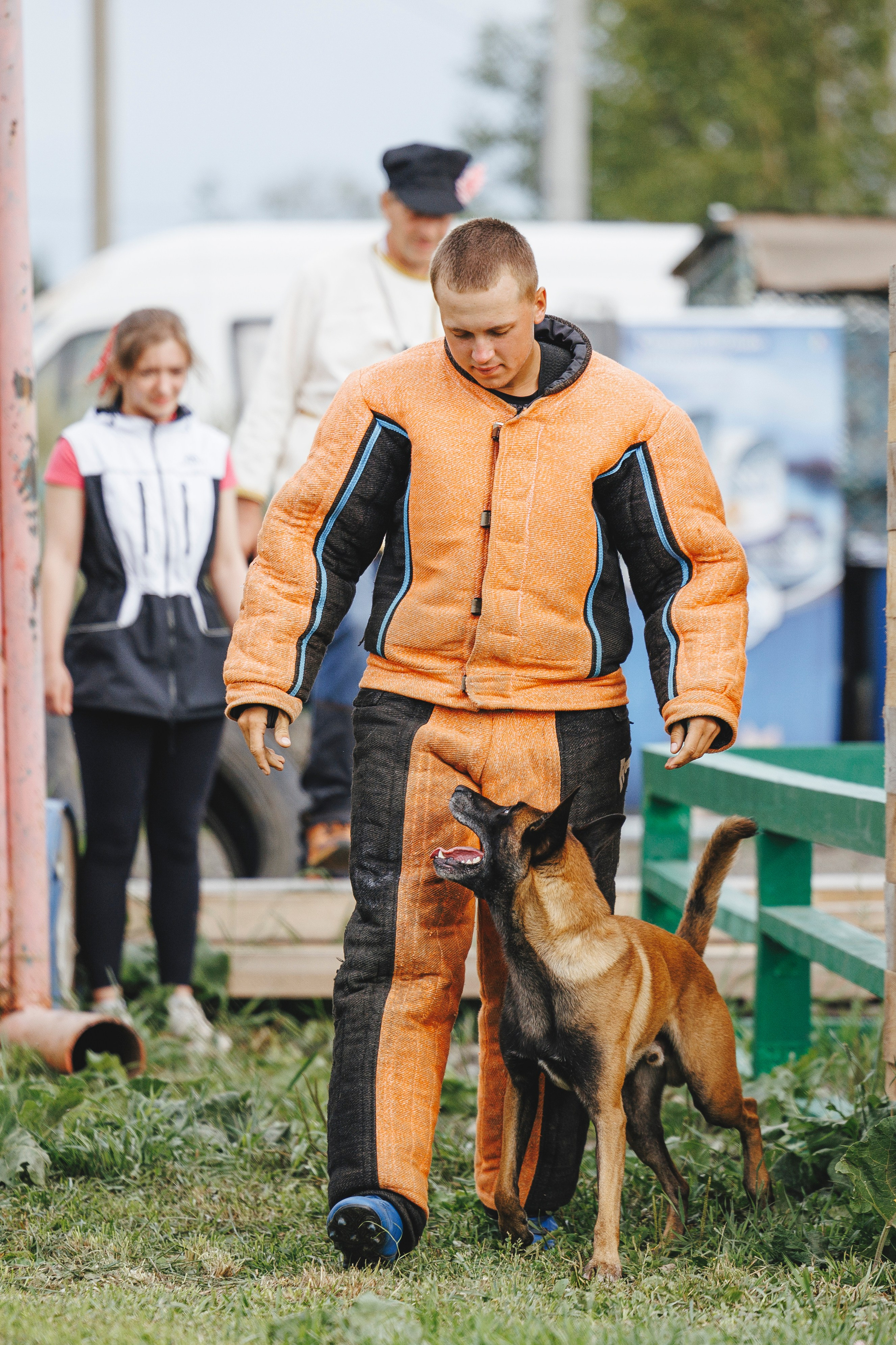 08.08.25-10.08.25 ЧР по мондьорингу г. Вологда. Фотограф-анималист Анна Маринич