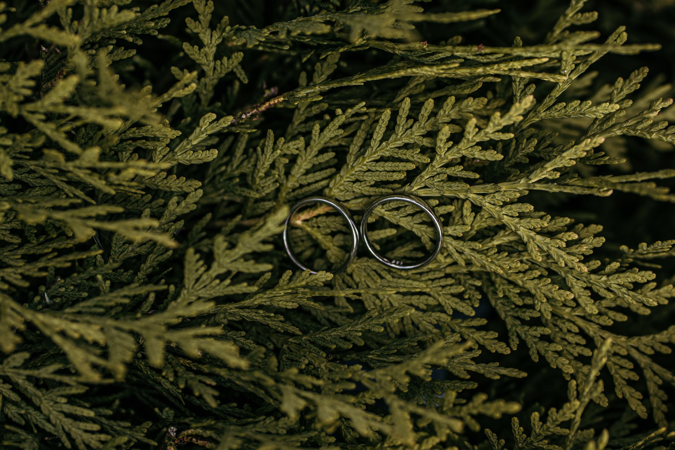 Wedding Misha&Alyona. Фотограф в Батуми и Кобулети