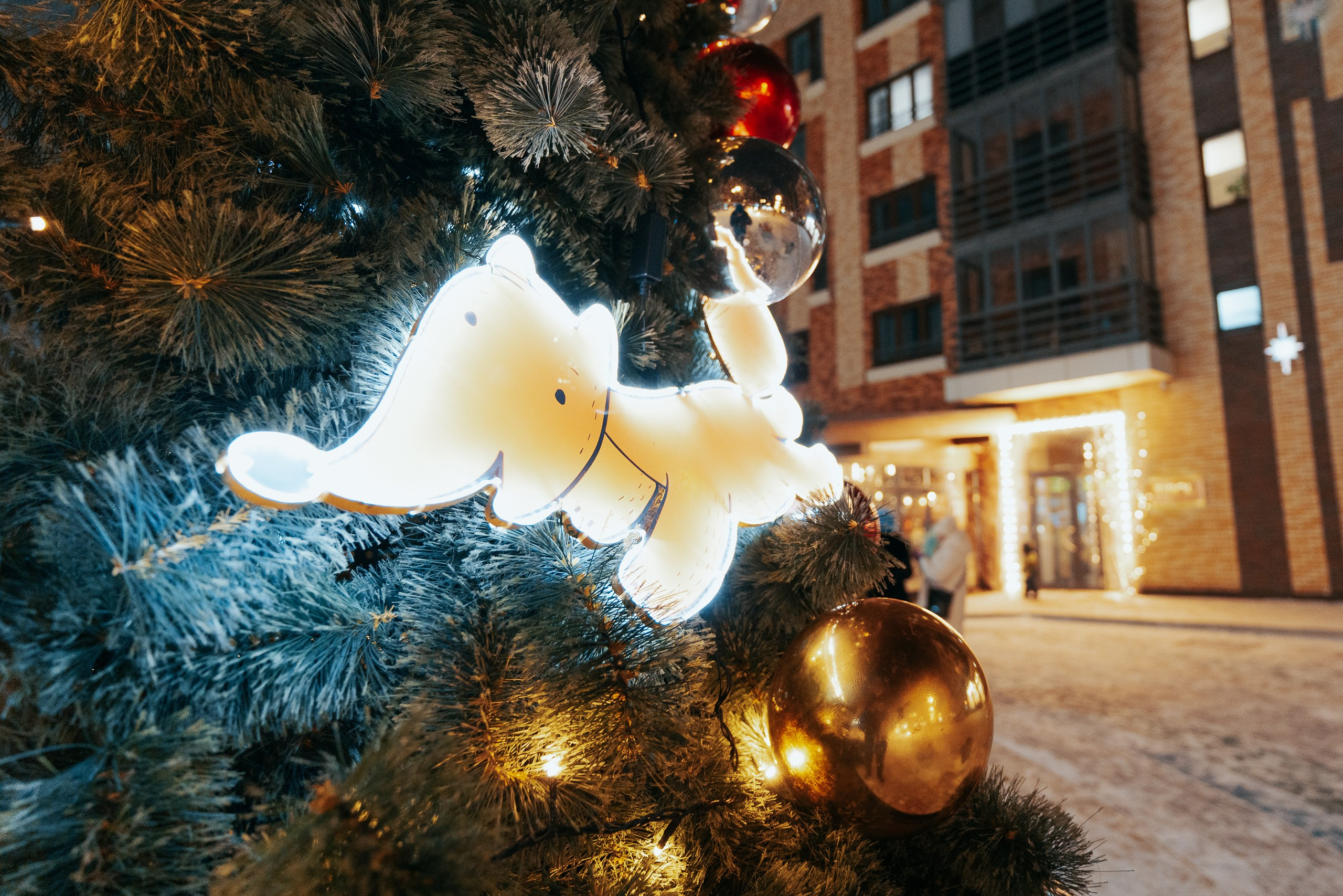 Сити-район «Южный берег». Репортажный фотограф Красноярск Алекс Чампакхам