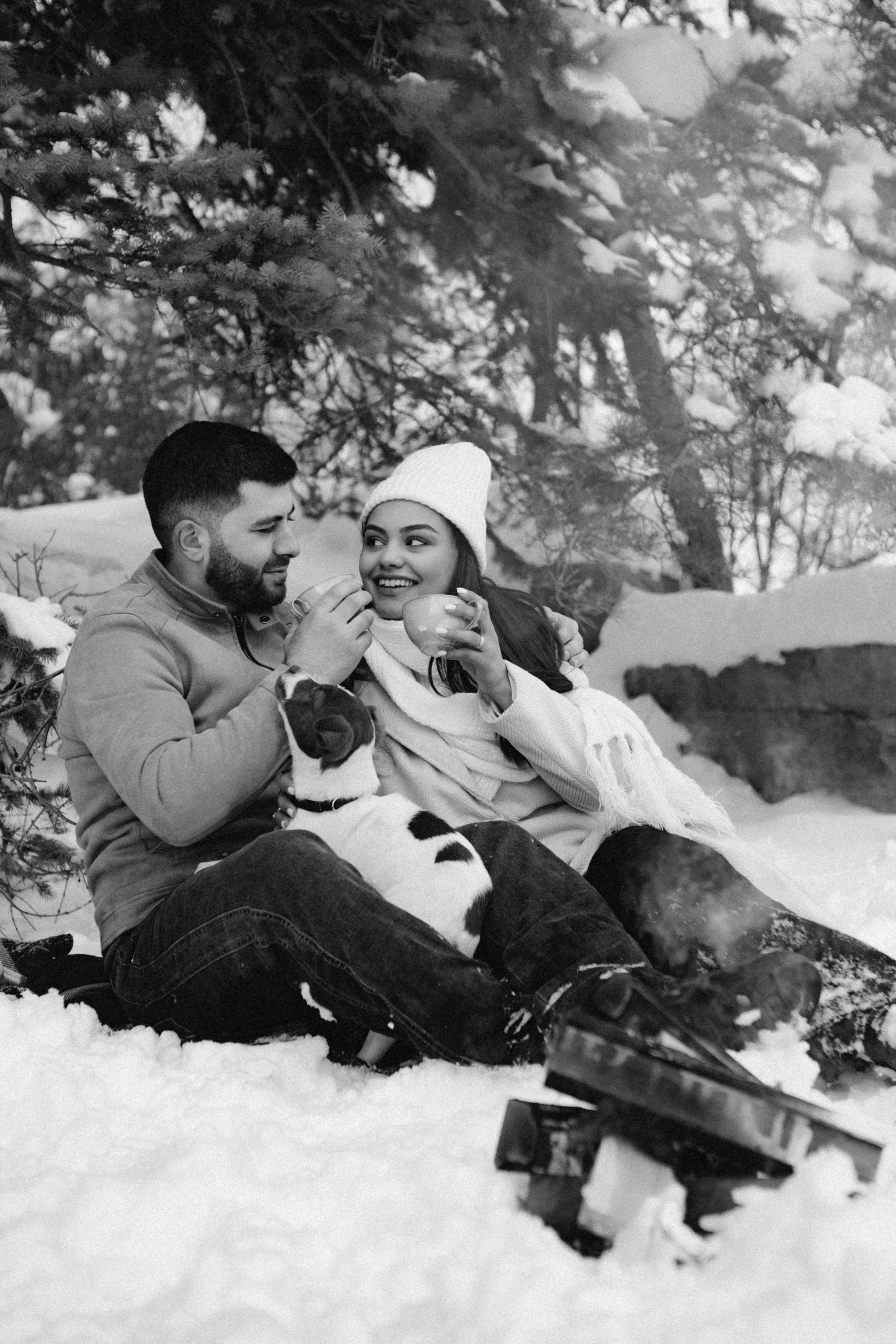 Снежинки. Գլխավոր