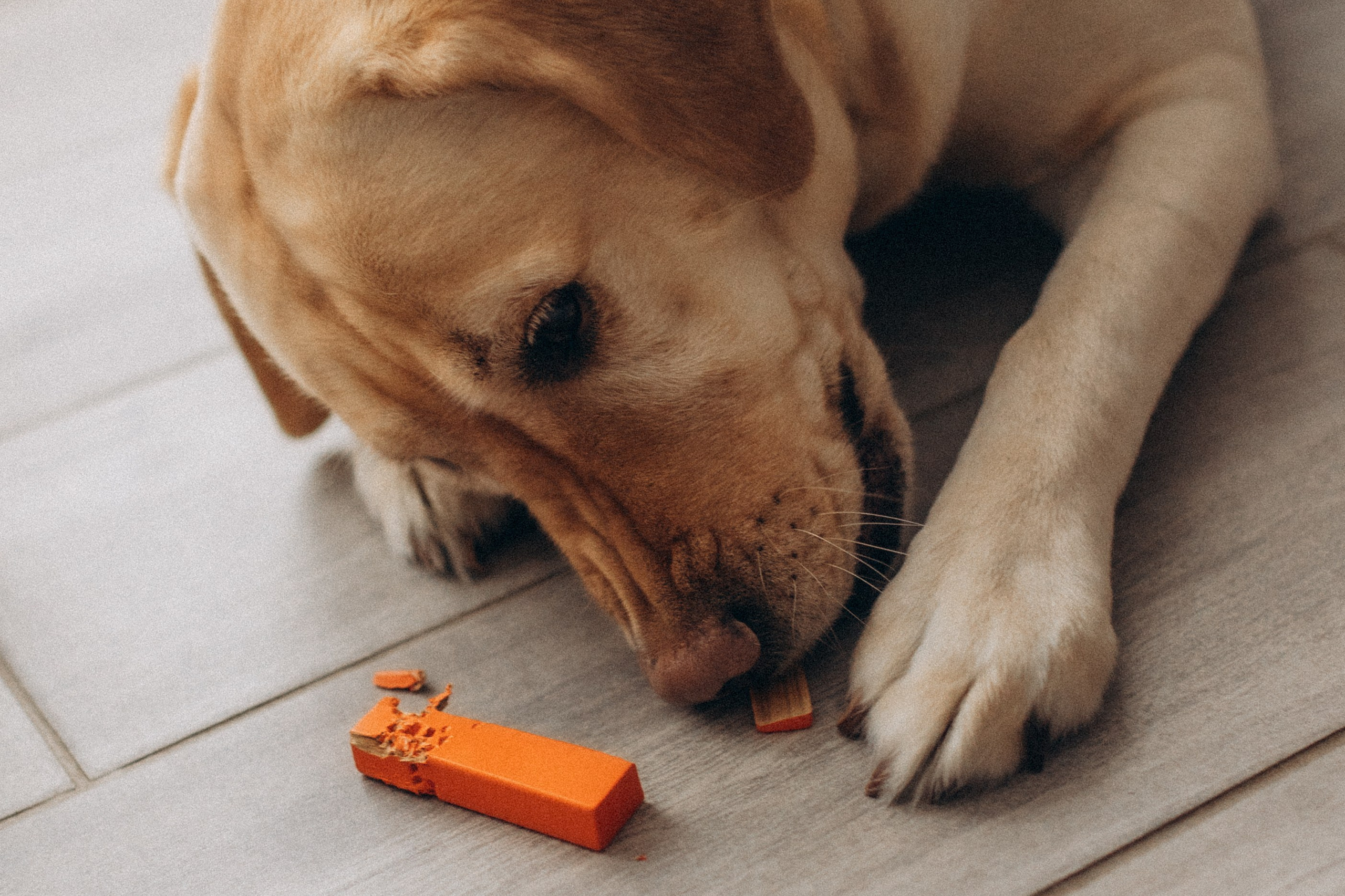 День рождения только раз в году. Семейный фотограф lifestyle в Новосибирске Елена Шпилевая