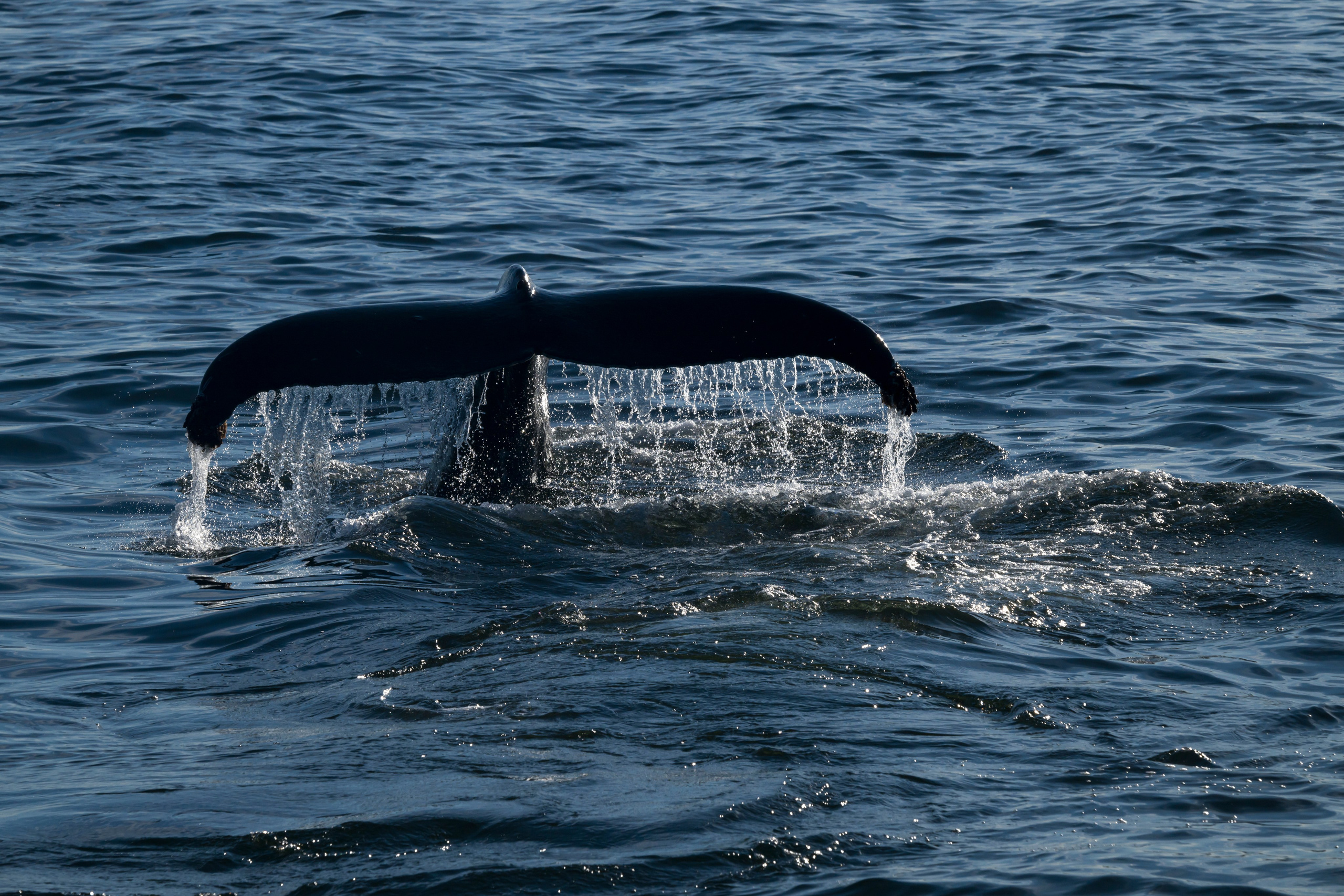 Камчатка. Портретный фотограф в Челябинске Катерина Руди