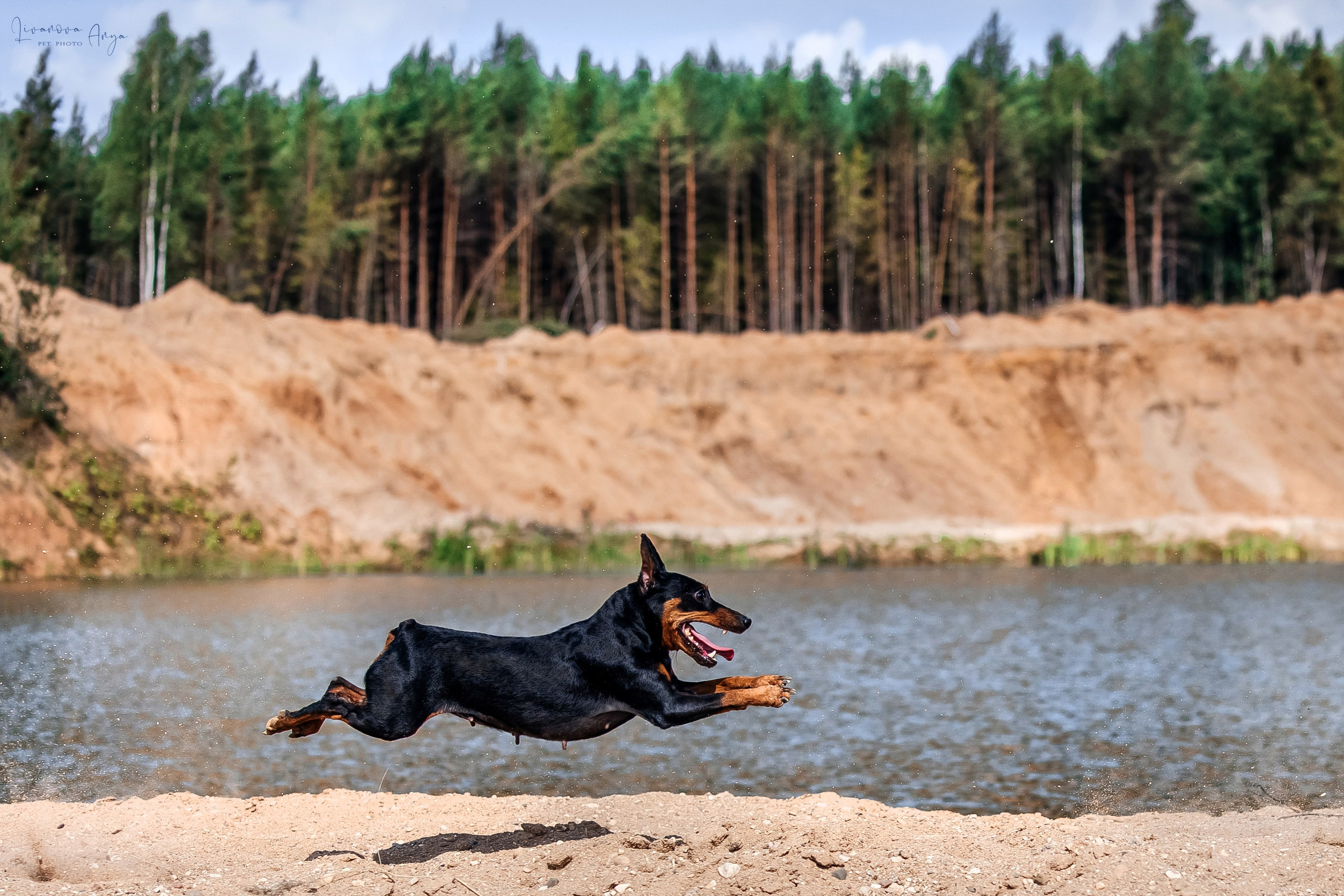 Троицкий карьер. Фотограф анималист Аня Ливанова | Рыбинск