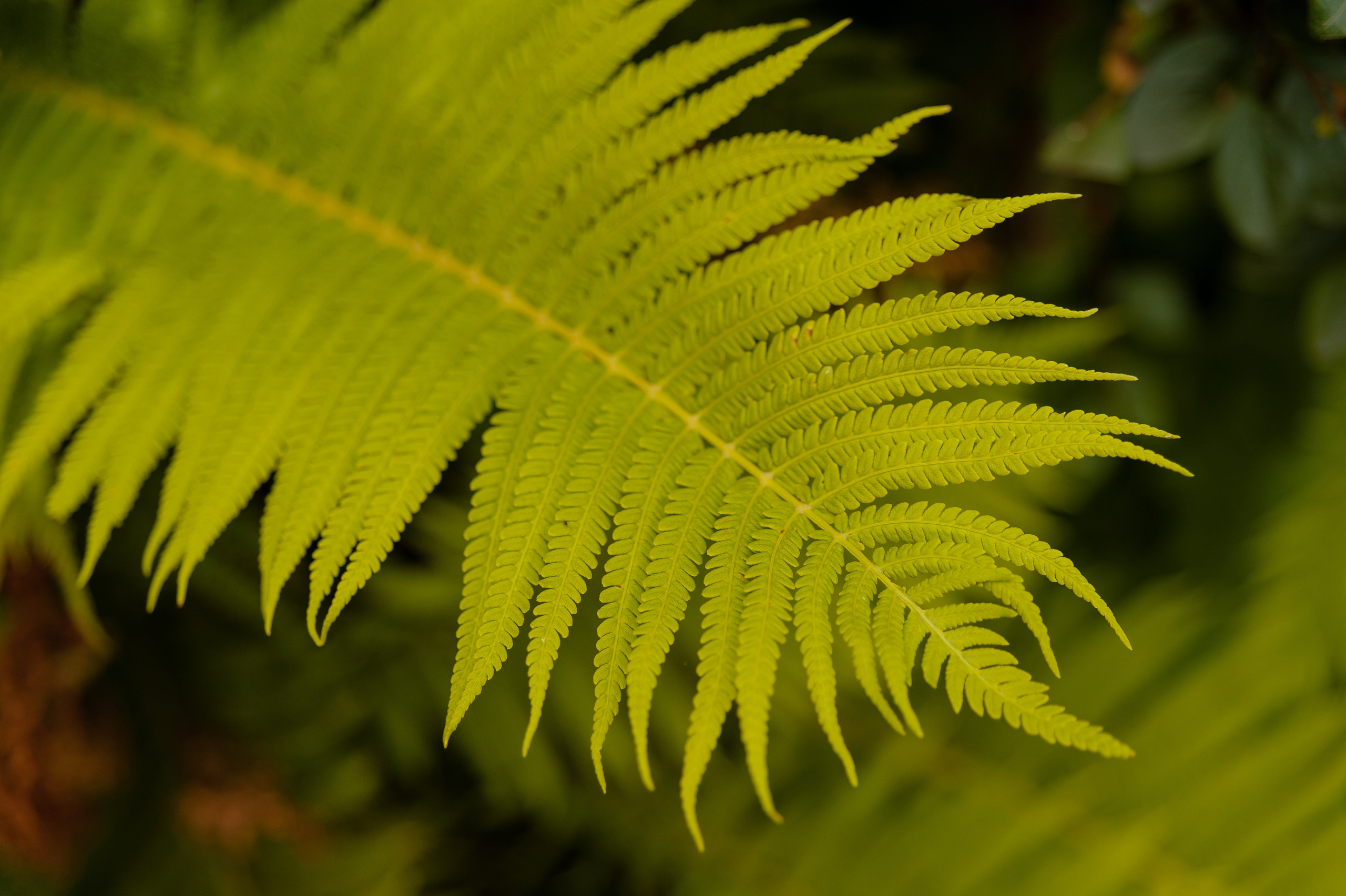 Максим и Геля. Фотограф в Екатеринбурге Артём Зайнетдинов