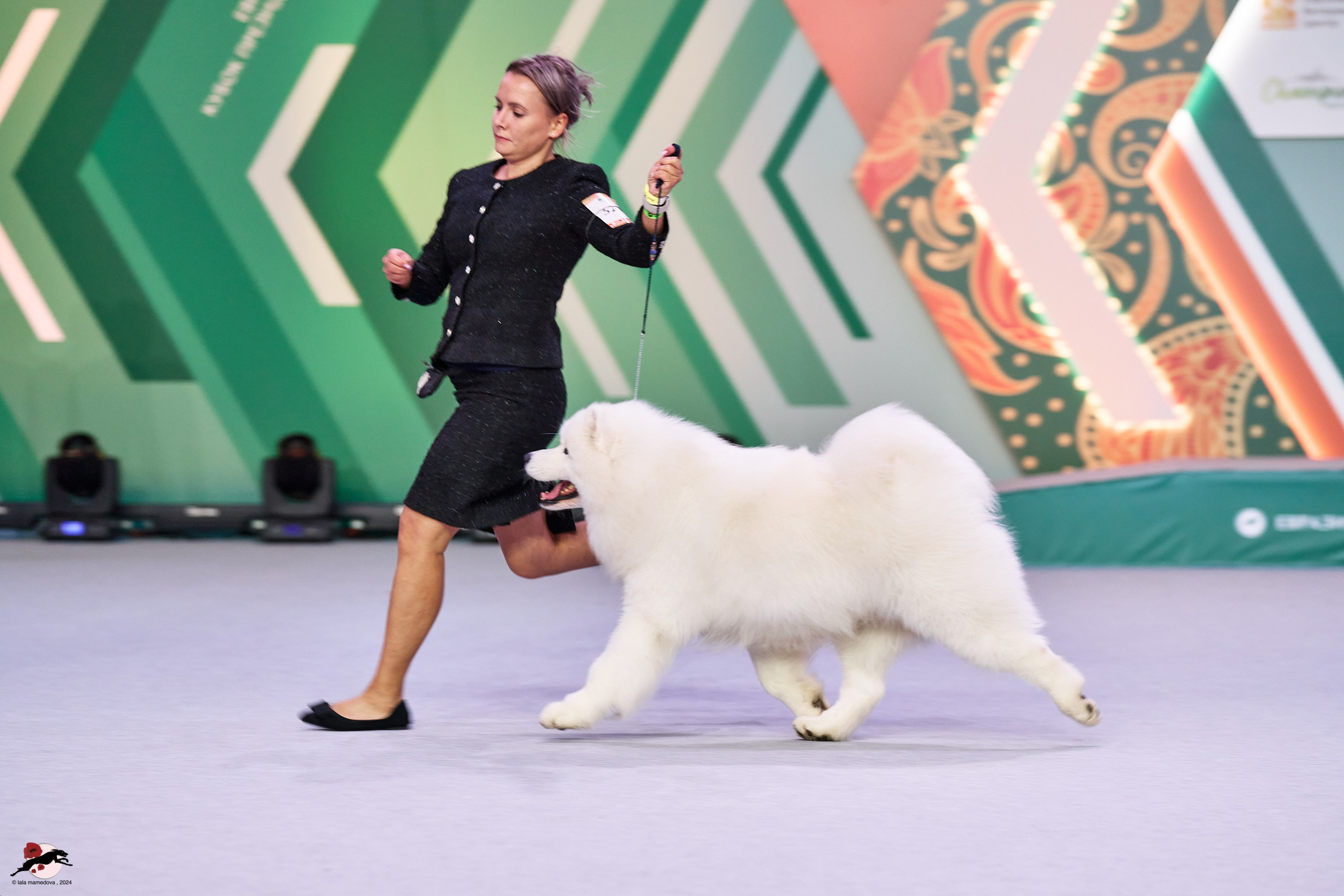 17.11.2024 «ЕВРАЗИЯ. КУБОК СНГ 2024»