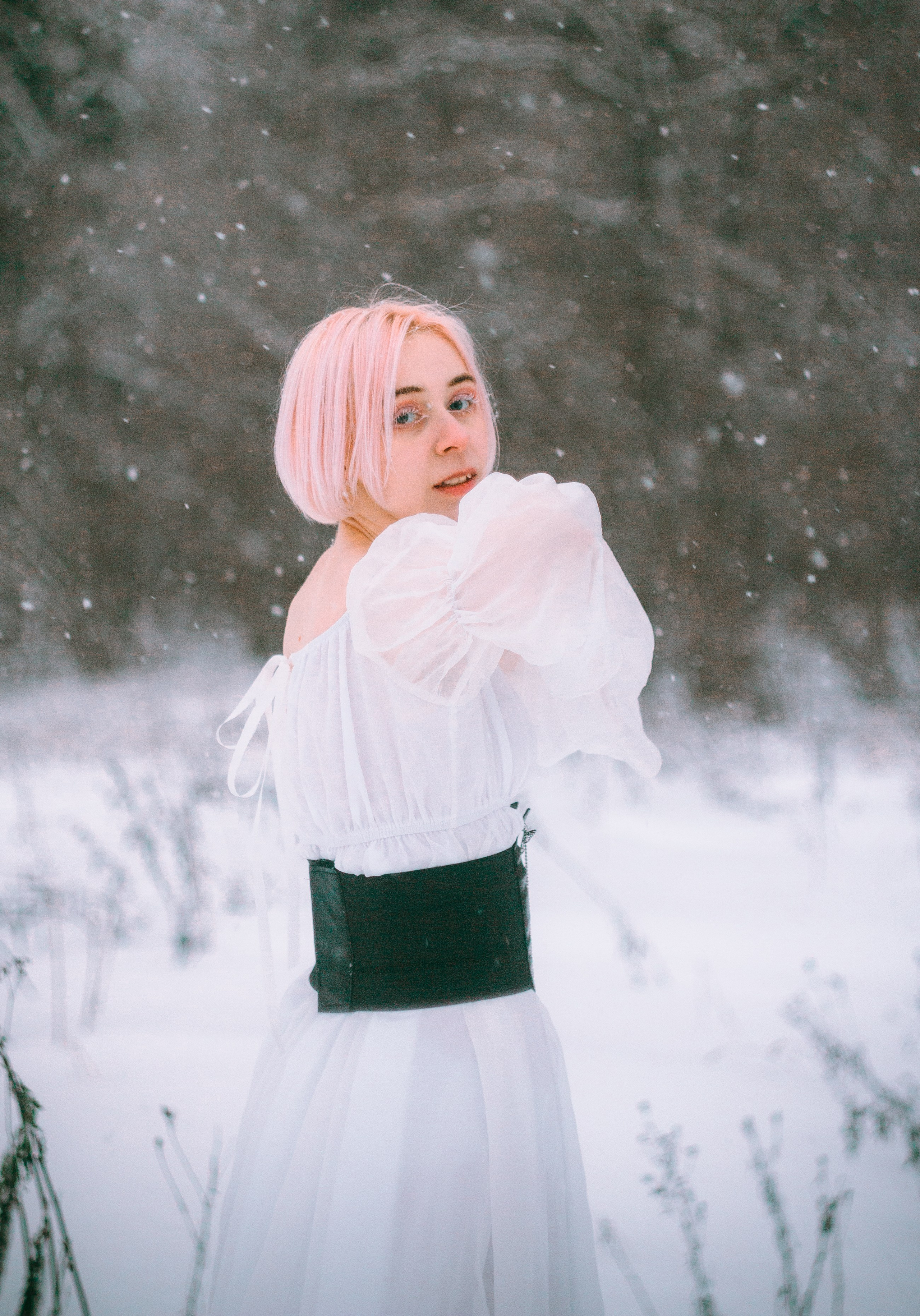 Elizaveta Rose | Forest