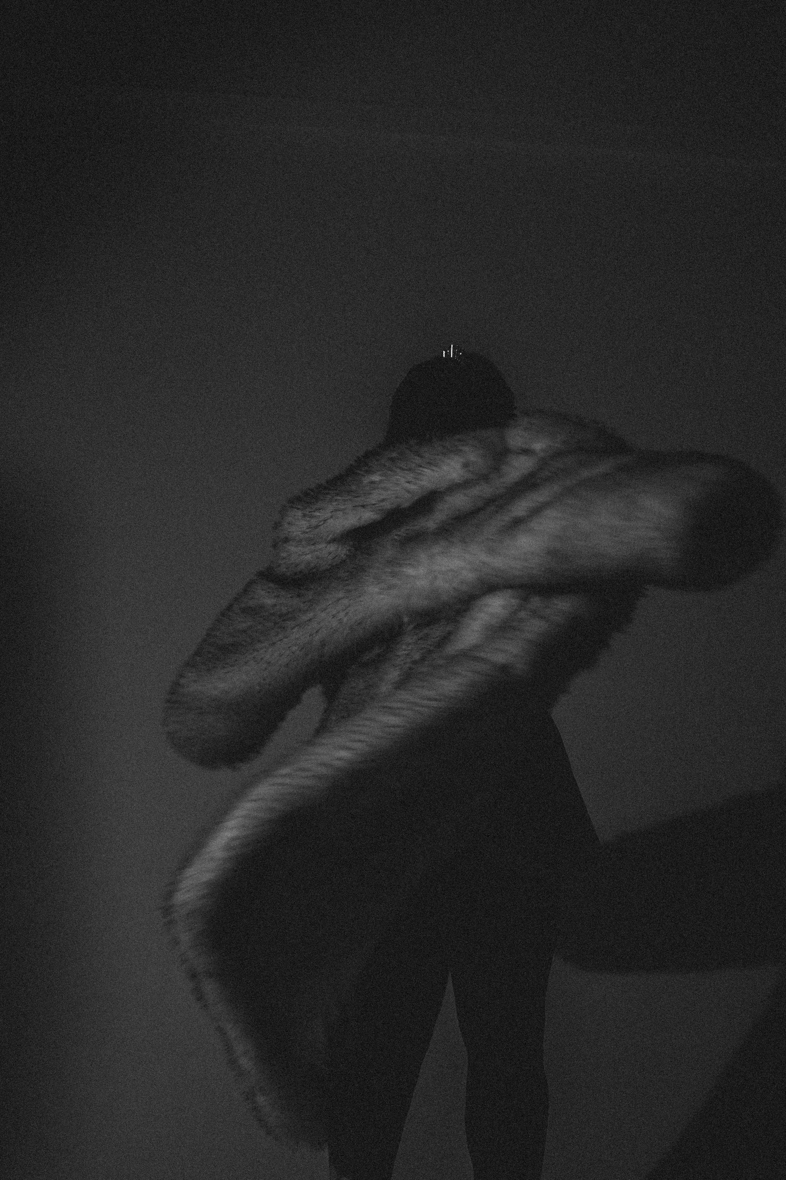 История ко дню рождения. Профессиональный фотограф, Санкт-Петербург — Виктория Богомолова