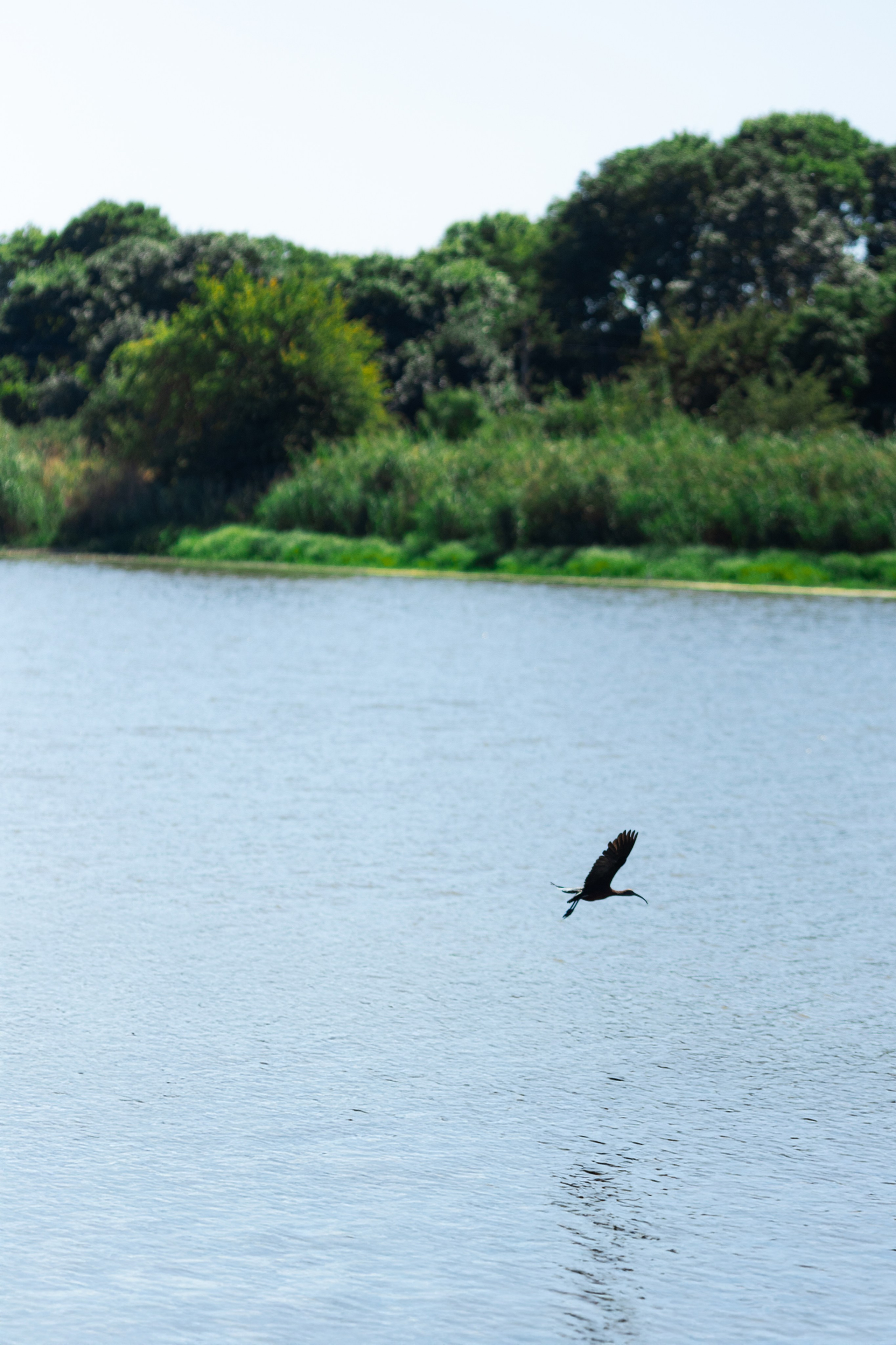 Сшиты на века. Свадебный фотограф. Краснодар, Сочи, Новороссийск. Вадим Мерье