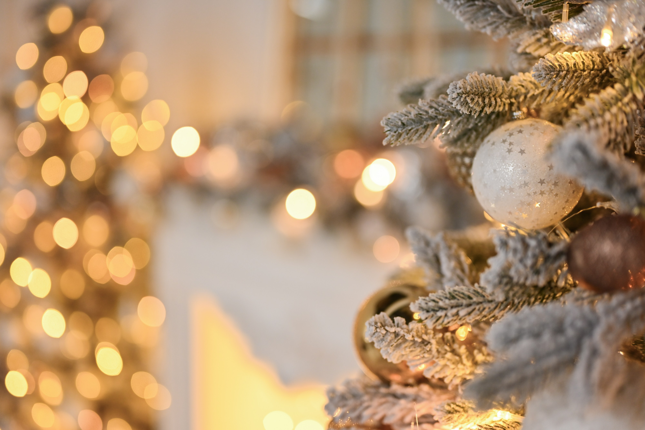 Christmas holiday. Свадебный и семейный фотограф в Уфе Александров Максим