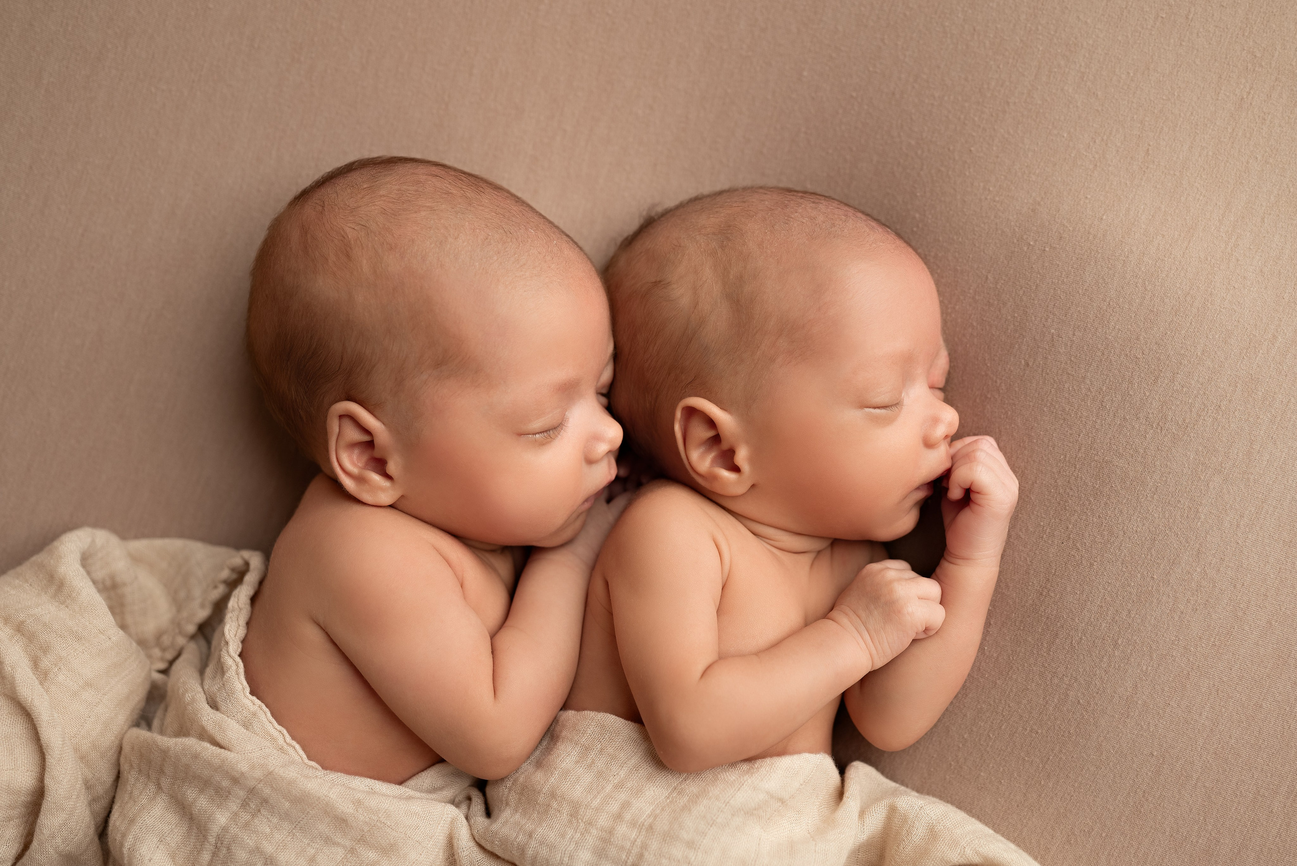 Фотогалерея. Фотограф новорожденных в Моксве и МО, Альбина Саламатова