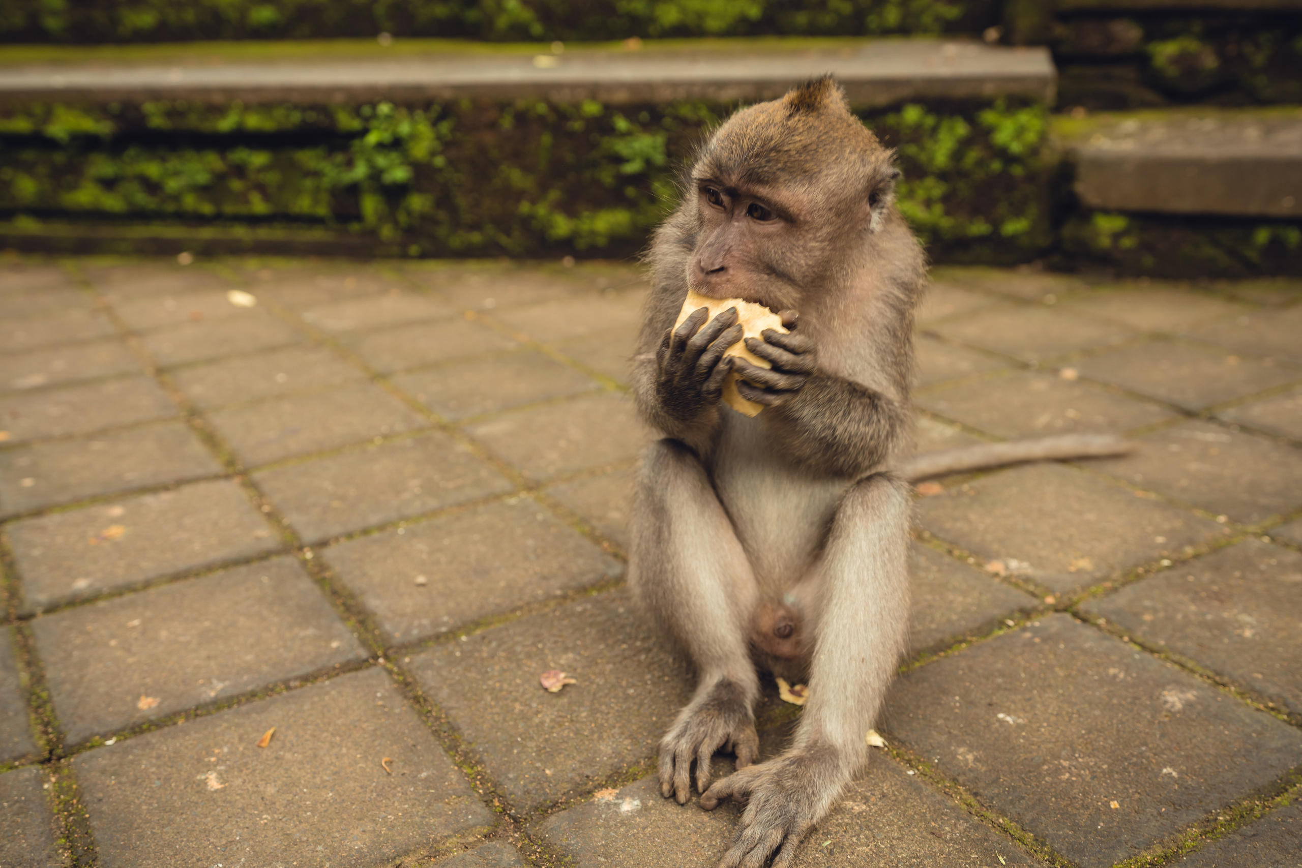 Бали. Фотографирую для себя, своей семьи и друзей!