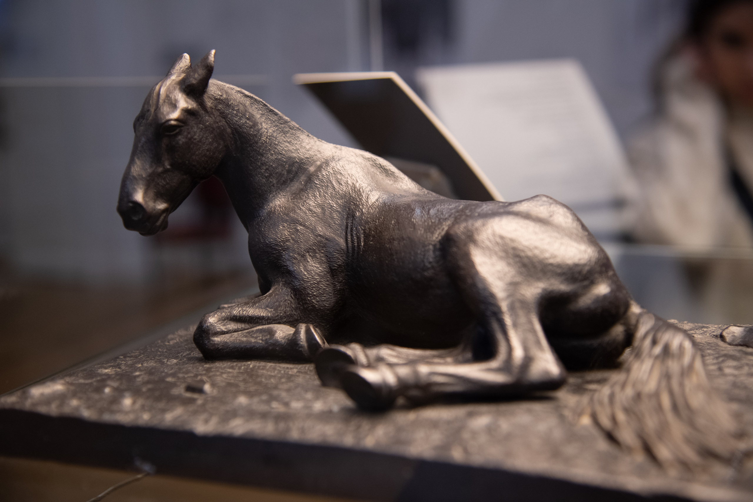 Тобольск. Фотографирую для себя, своей семьи и друзей!