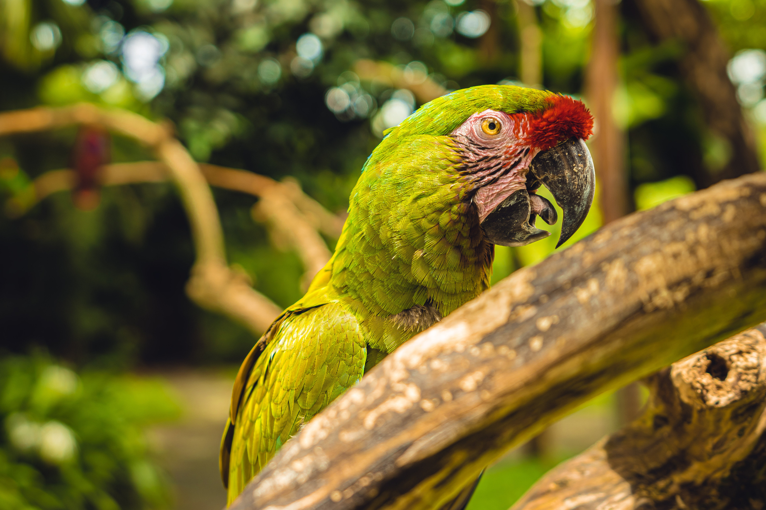 Бали. Фотографирую для себя, своей семьи и друзей!