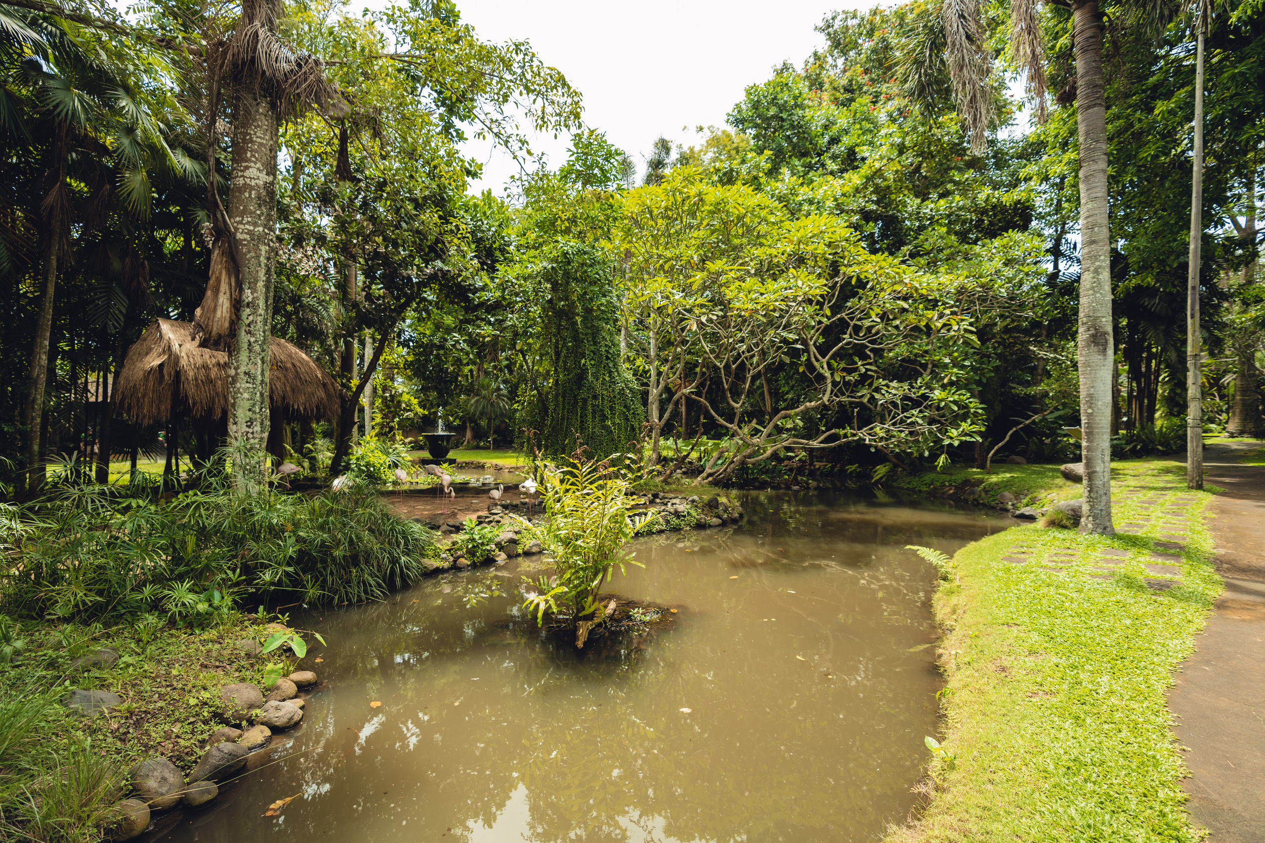 Бали. Фотографирую для себя, своей семьи и друзей!