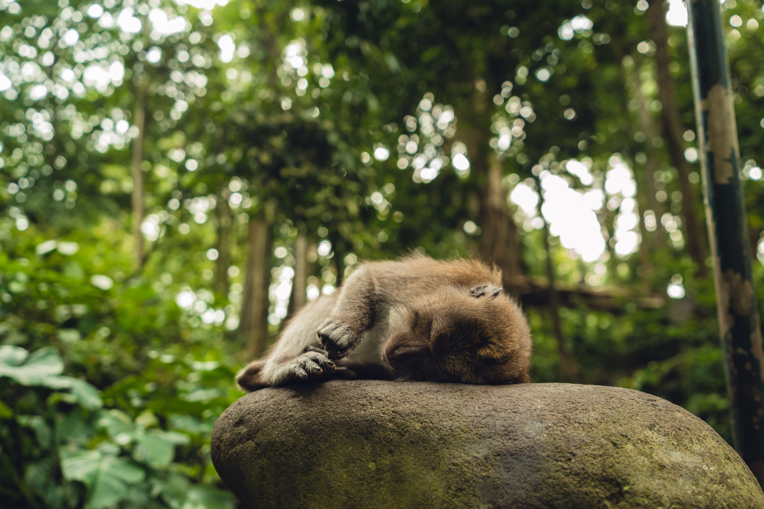 Бали. Фотографирую для себя, своей семьи и друзей!