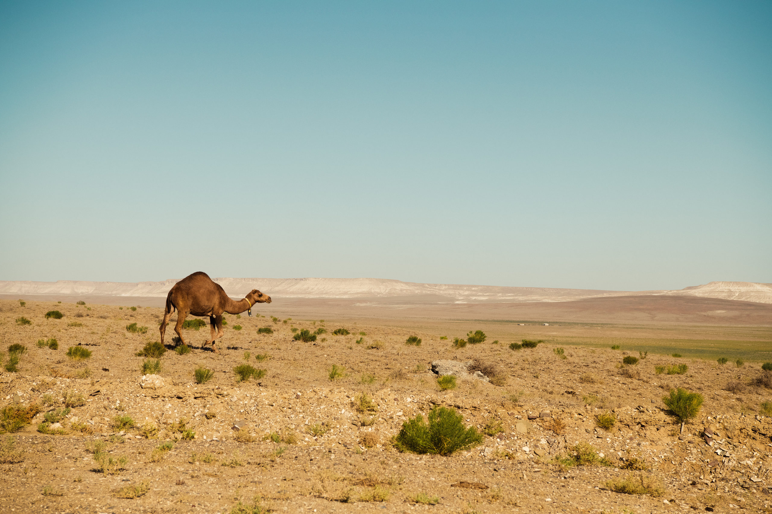 Мангистау. Фотографирую для себя, своей семьи и друзей!