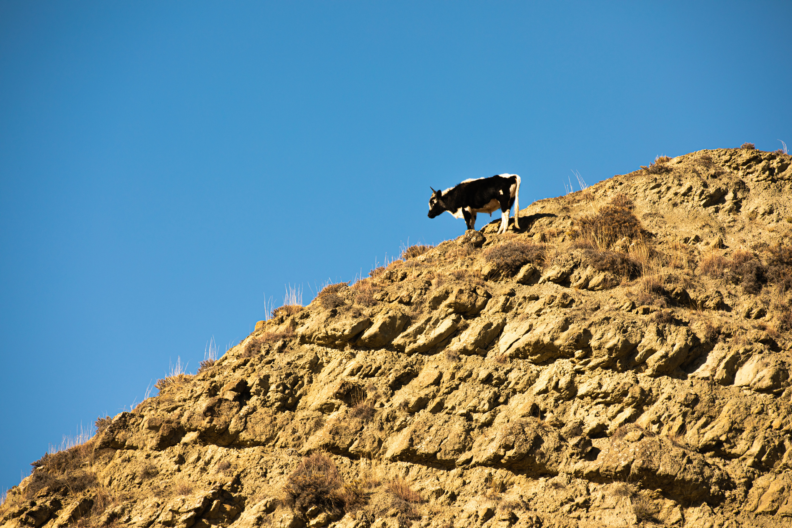Северный Кавказ Волок. Фотографирую для себя, своей семьи и друзей!