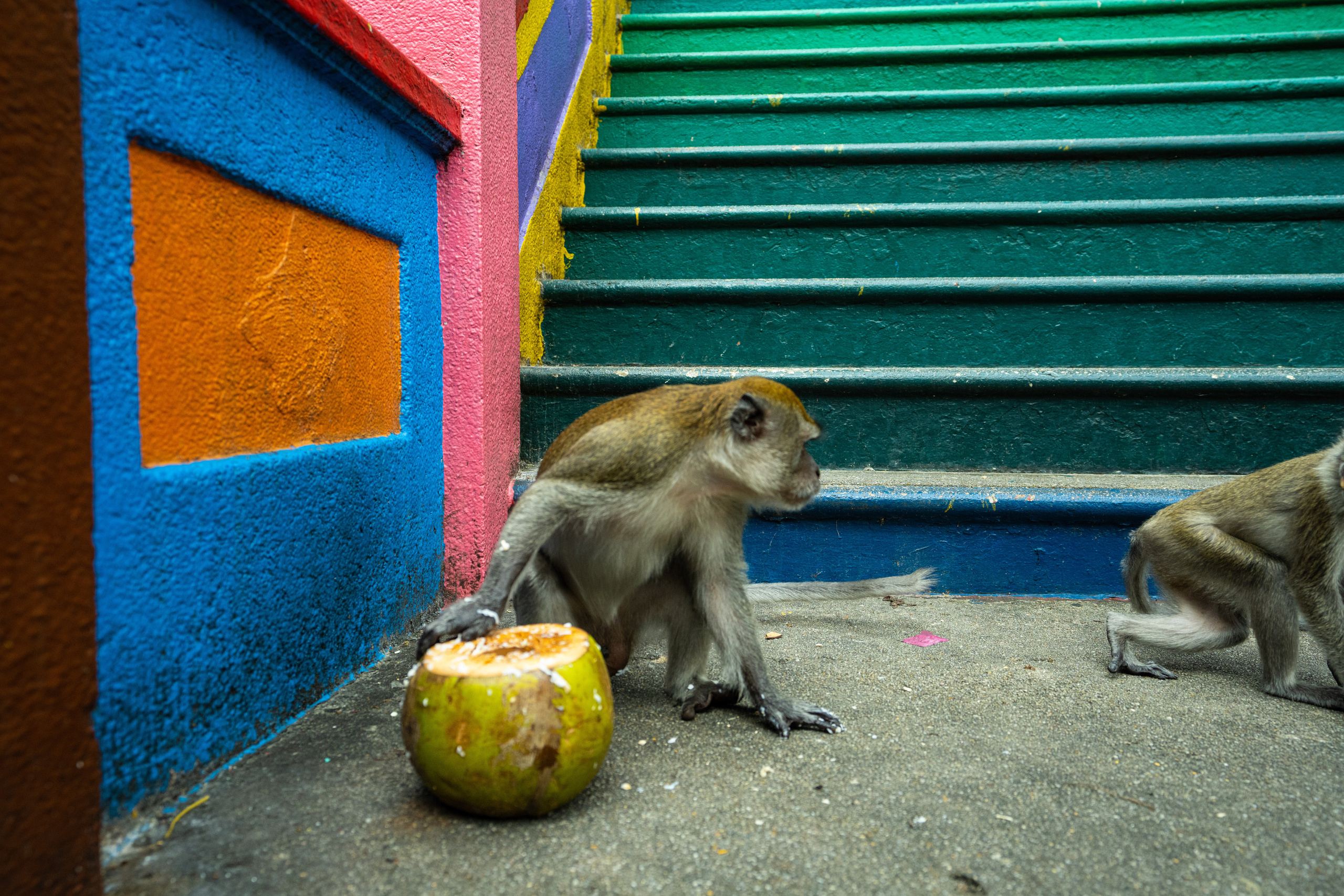 Куала Лумпур. Фотографирую для себя, своей семьи и друзей!